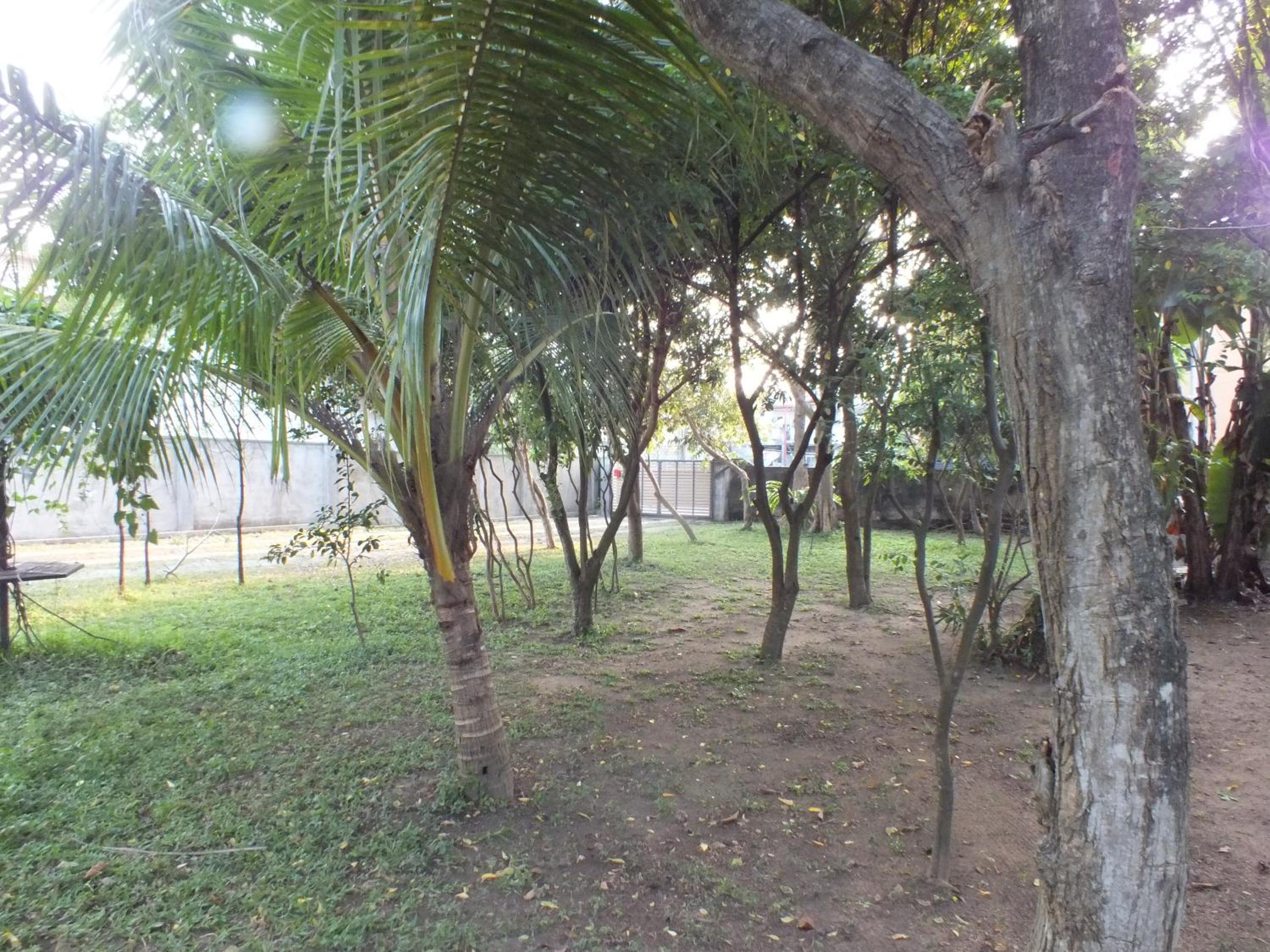 Photo 24