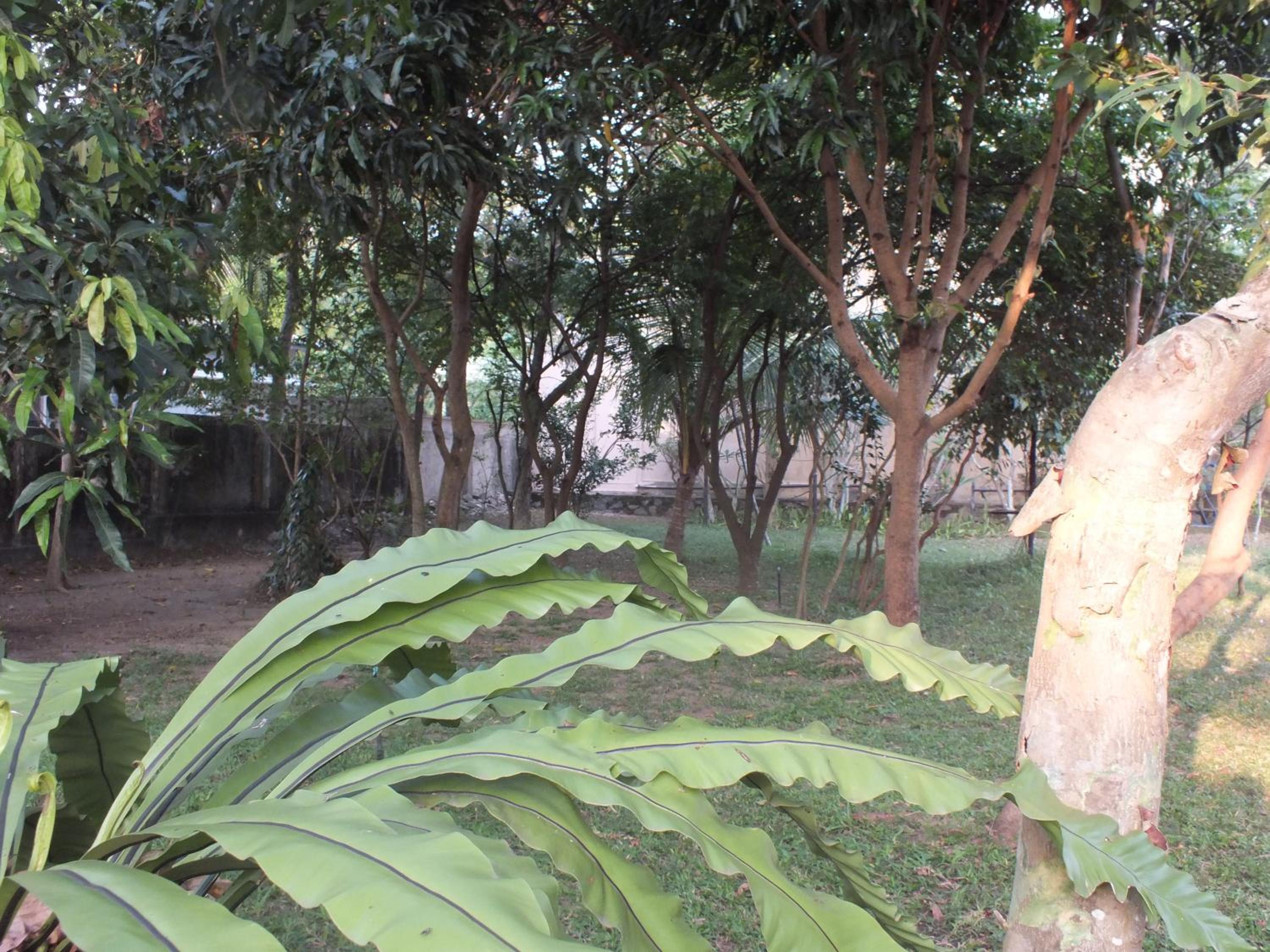 Photo 25