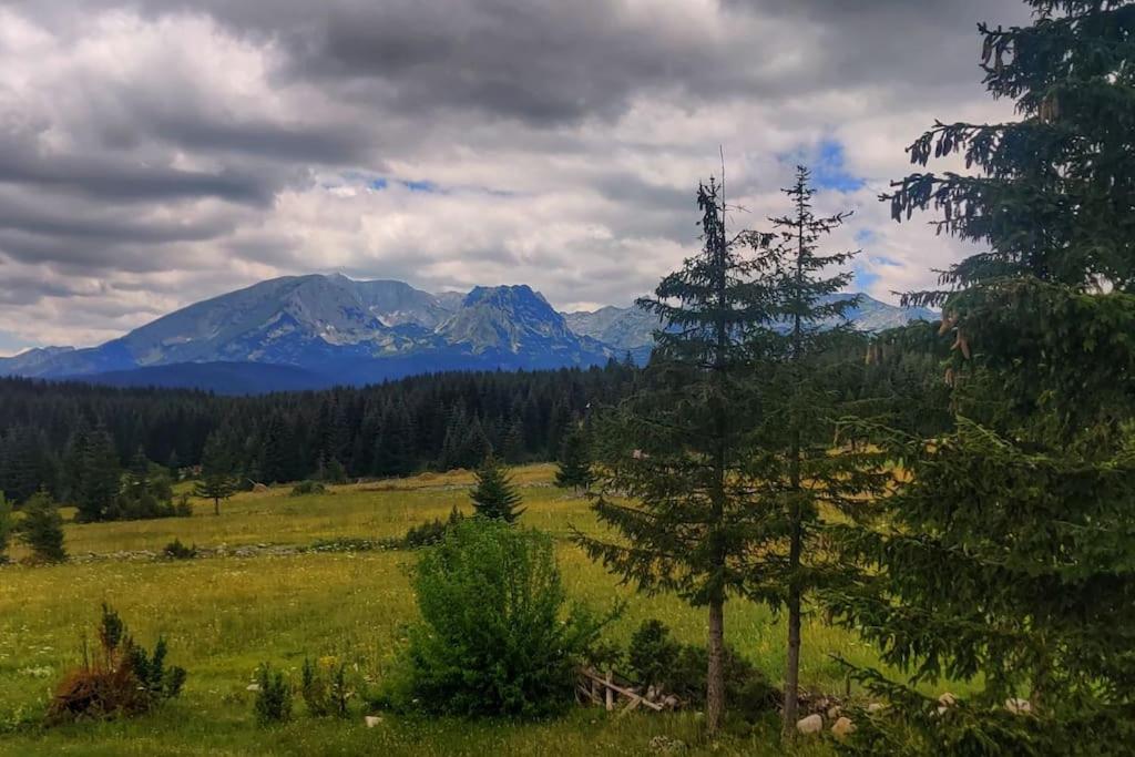 Ethno house Fairytale Zabljak view 2