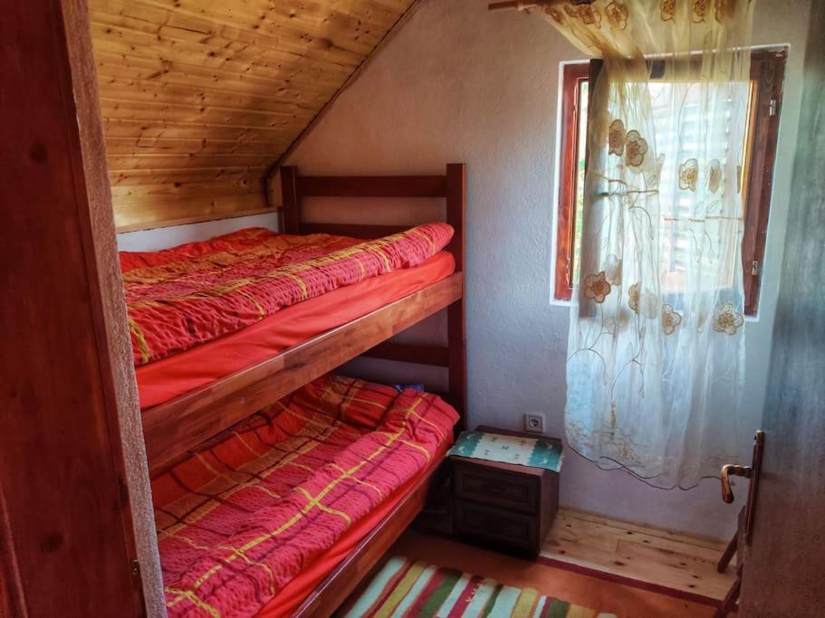 Ethno house Fairytale Zabljak view 4