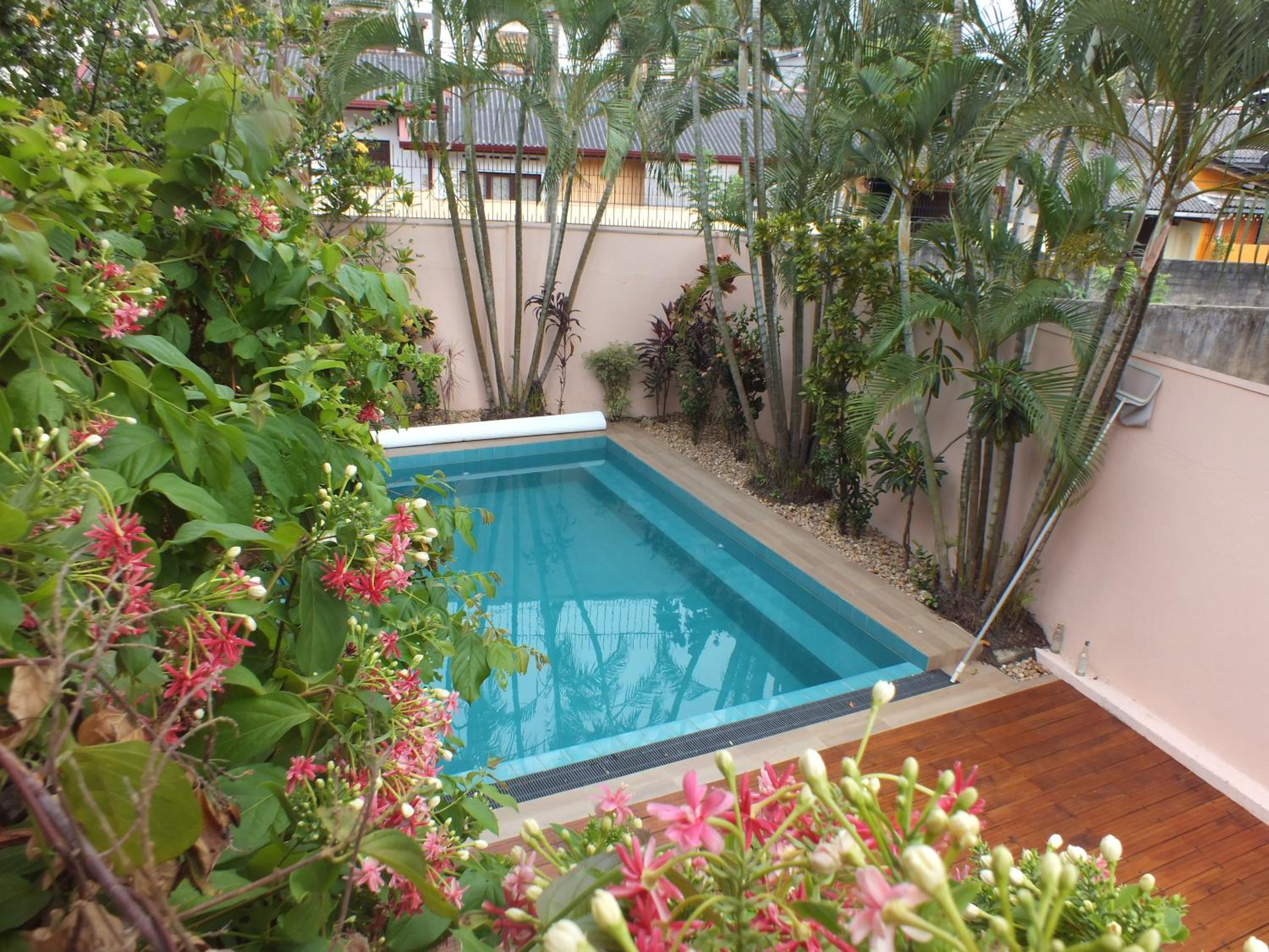 A tropical paradise; stunning house, pool, garden view 2