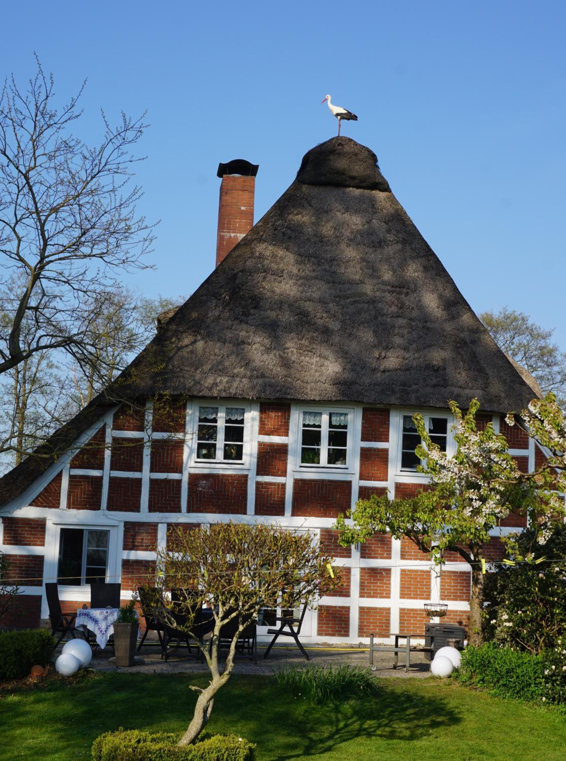 Altes Landhaus Oste, Klavier Appartement, 2 Zimmer mit Kamin