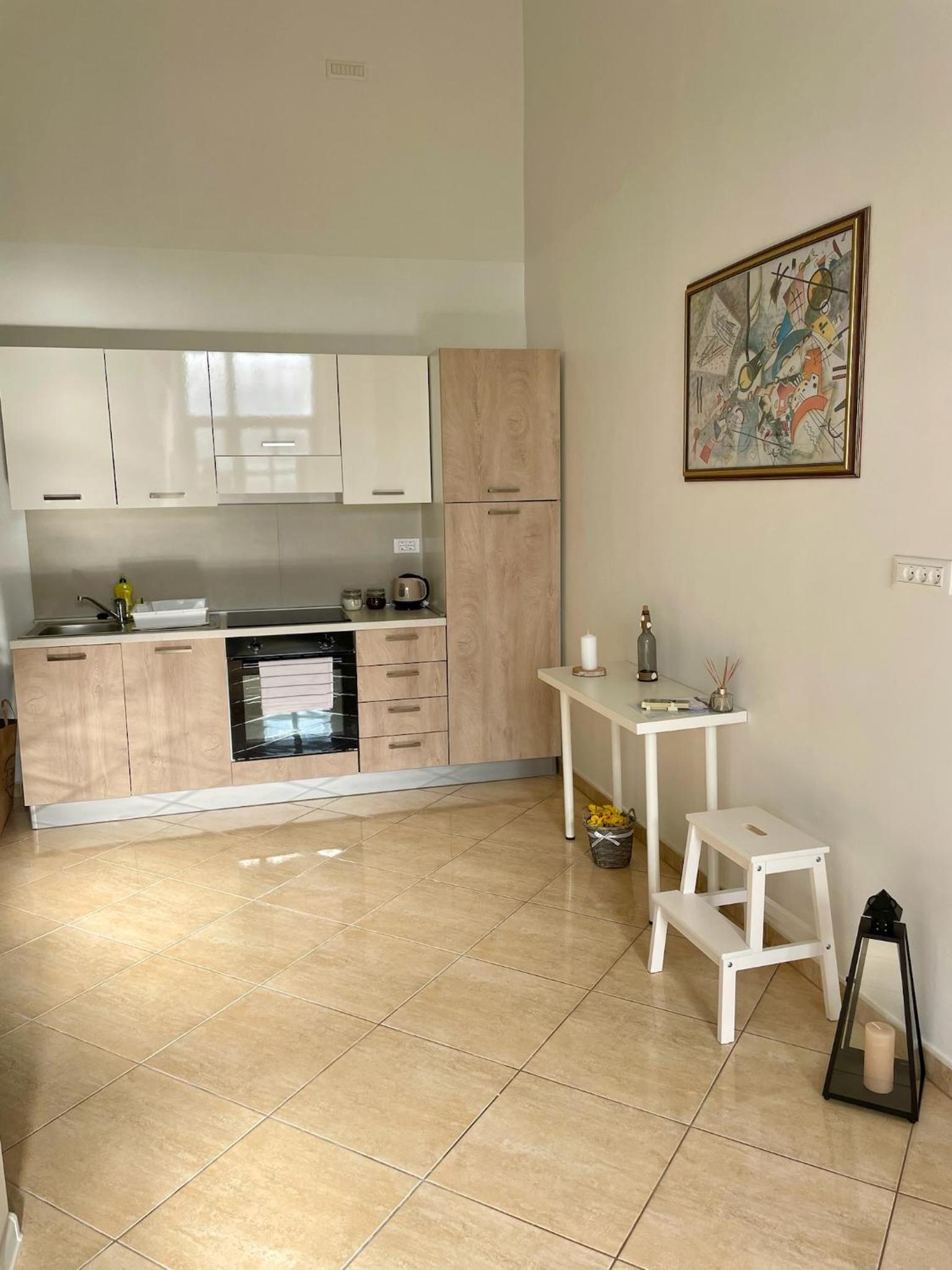 Spacious Apartment