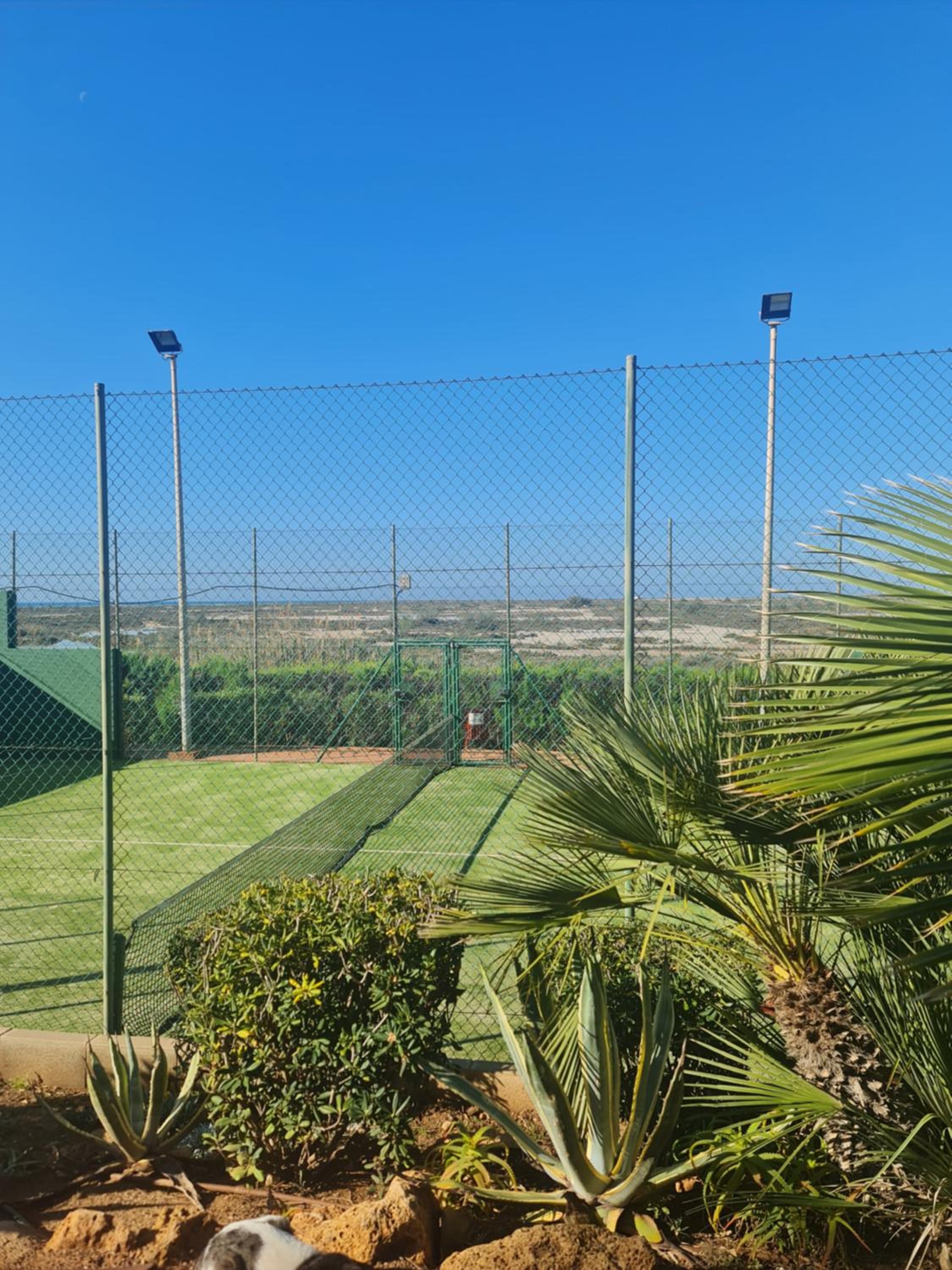 Villa Romana con piscina privada y vistas al jardín