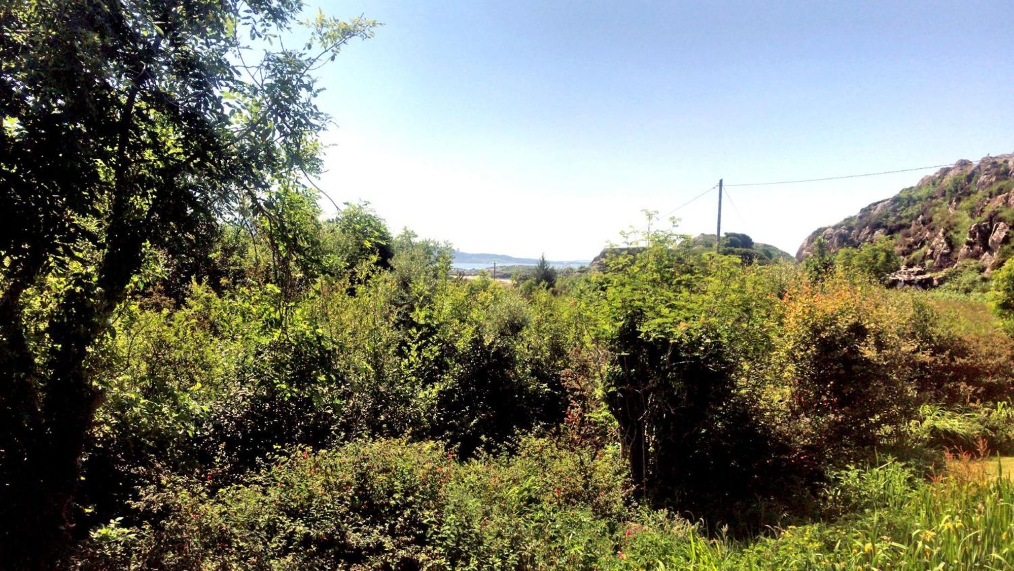 Photo 22