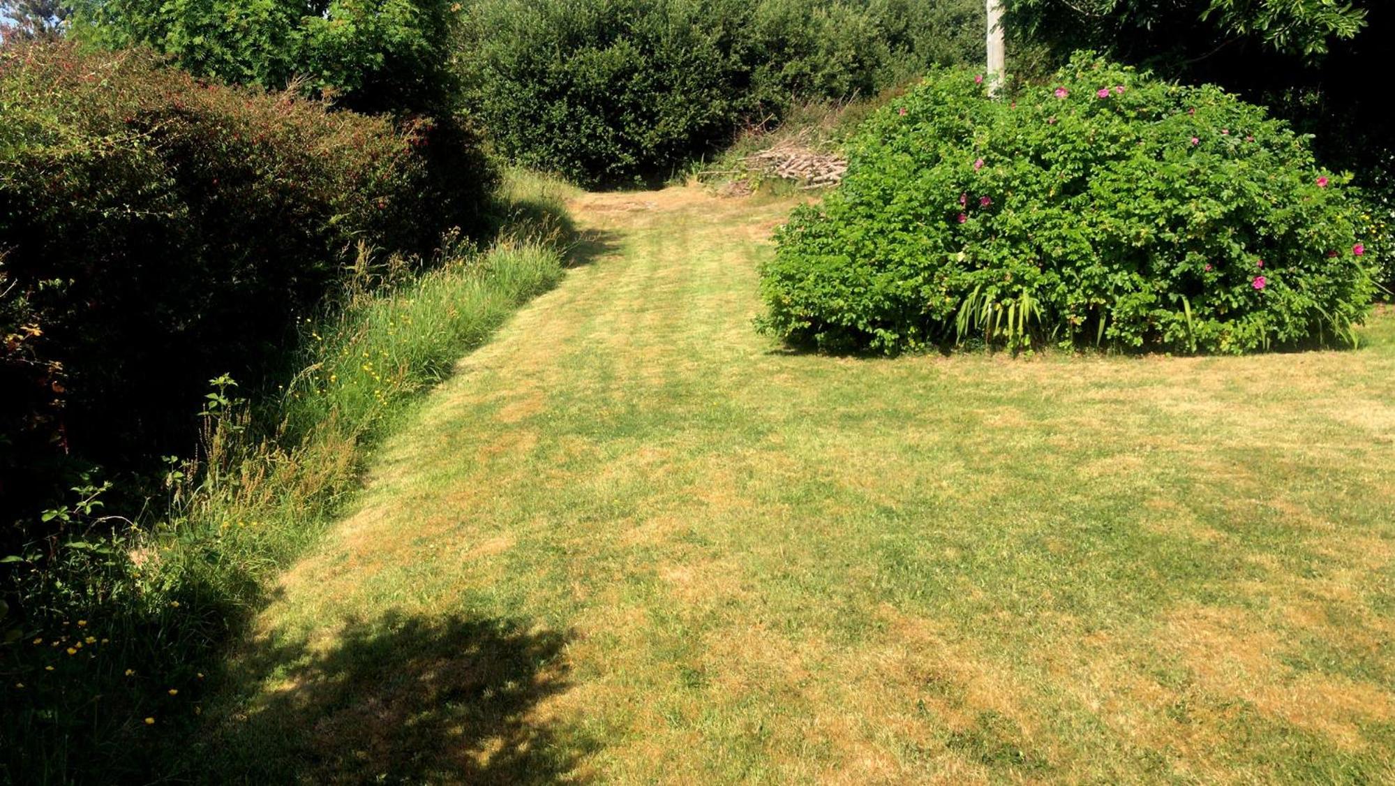 Photo 23