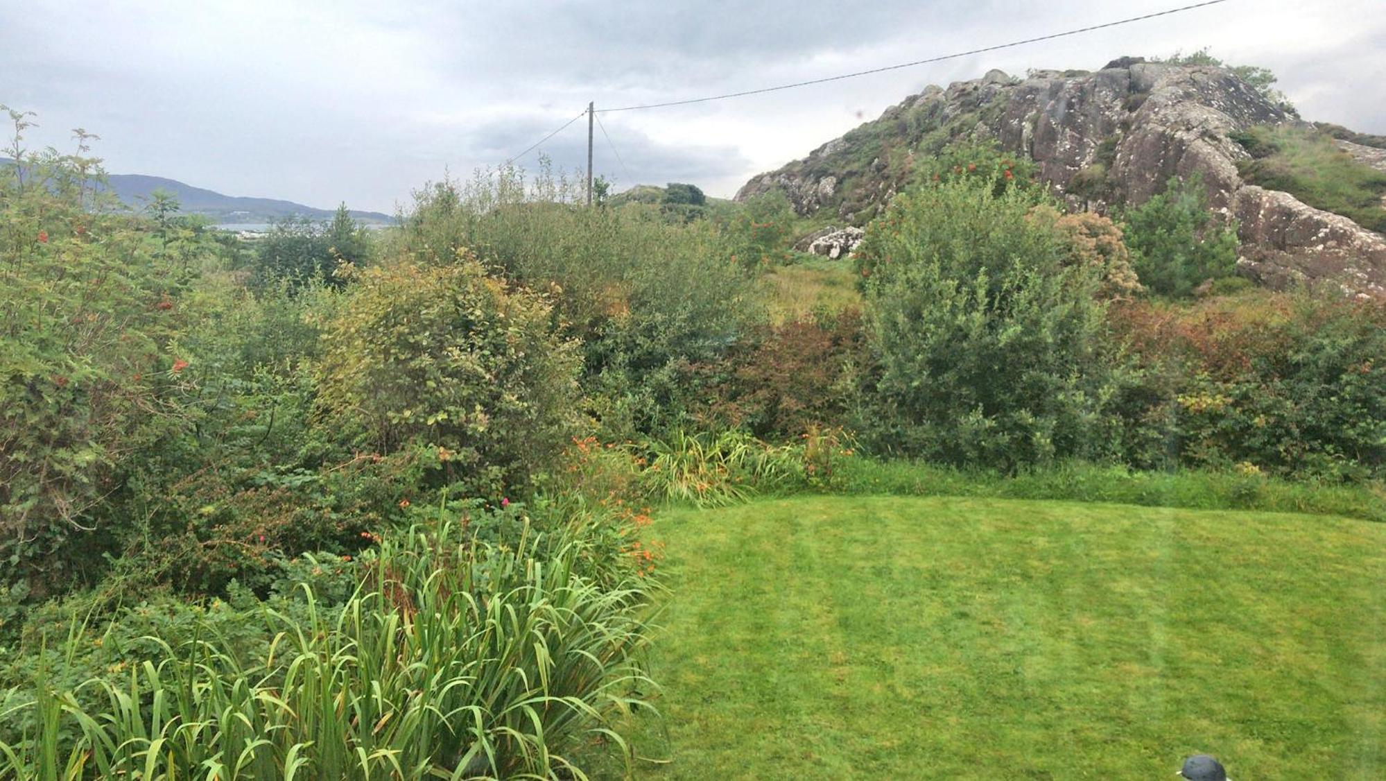 Photo 25