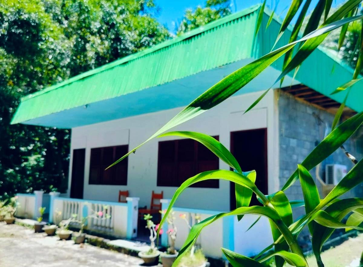 MamaRoos Reborn Home Stay view 5