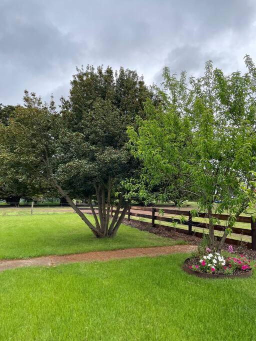 McIntyre homestead