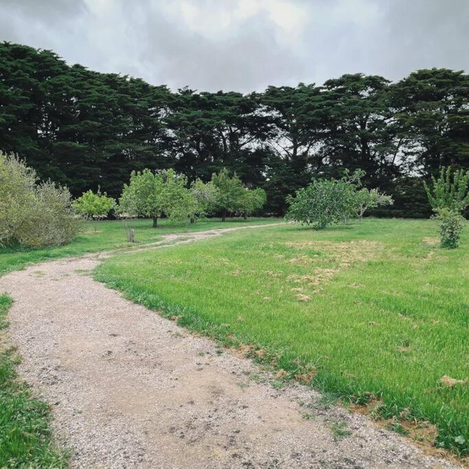 McIntyre homestead