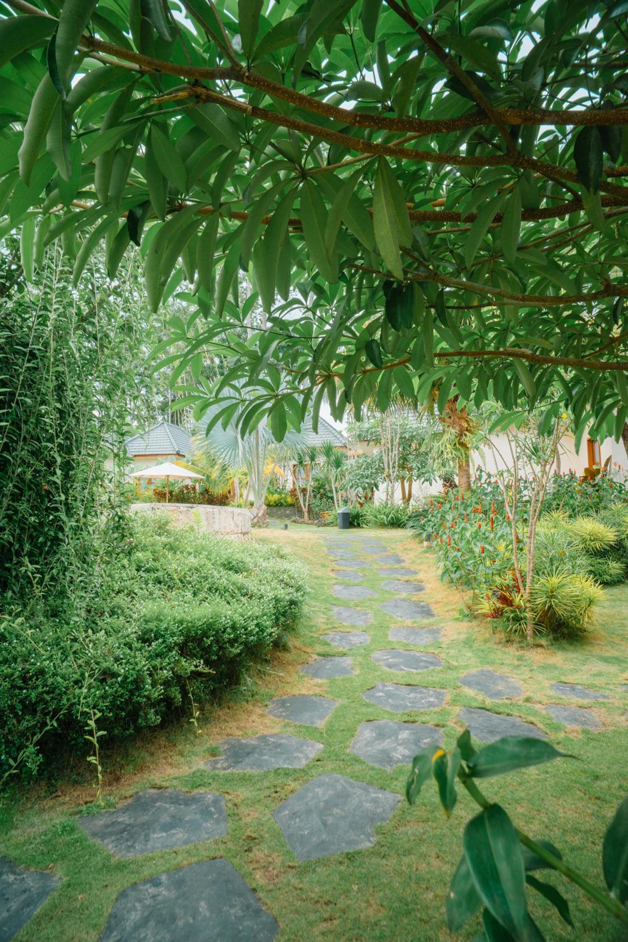 Photo 40