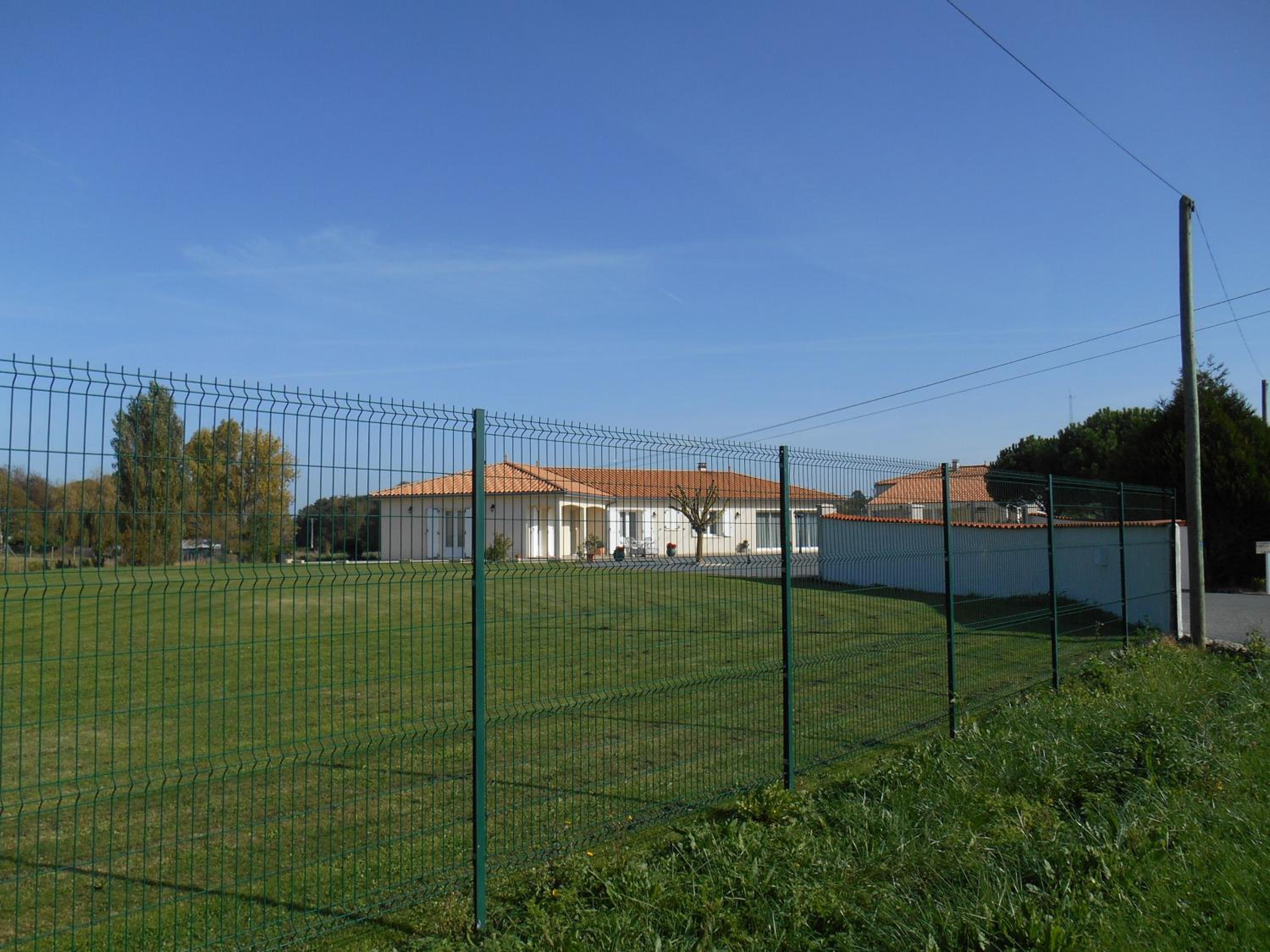 Photo 7