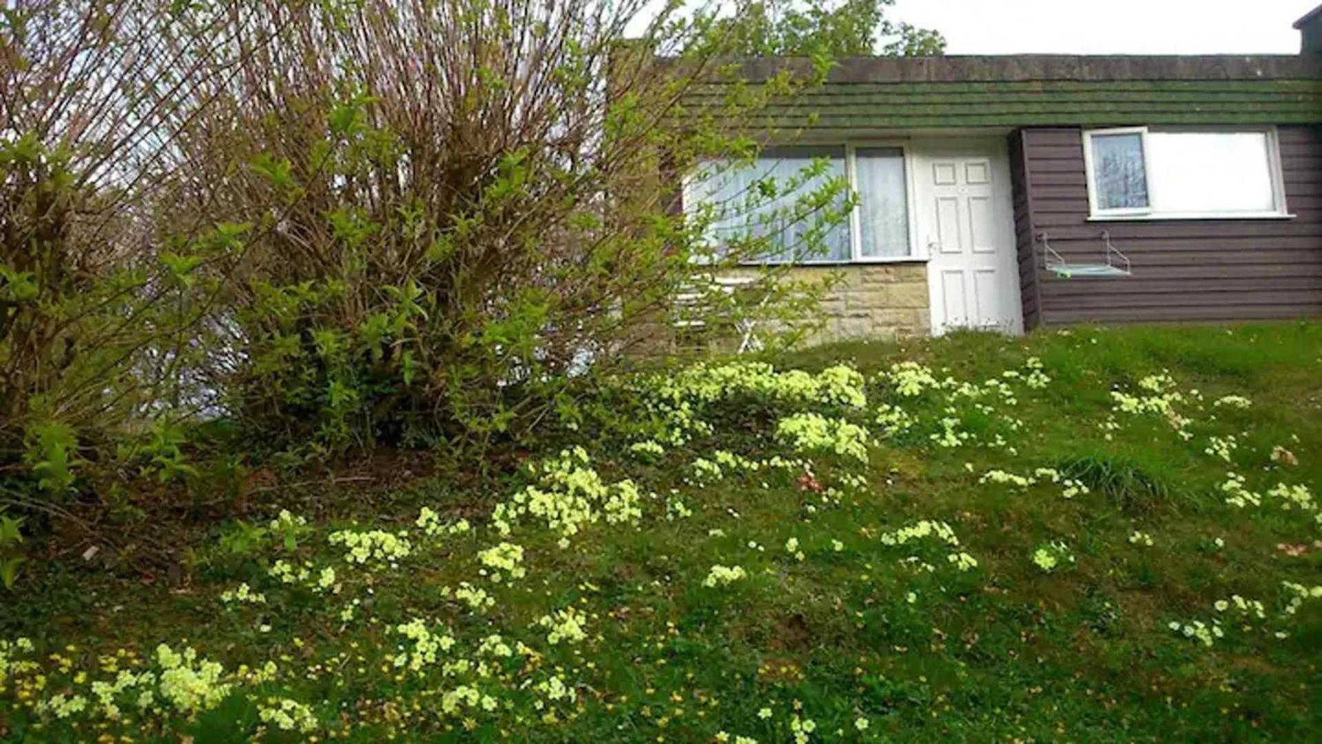 Cosy Cornish Chalet near coast view 2