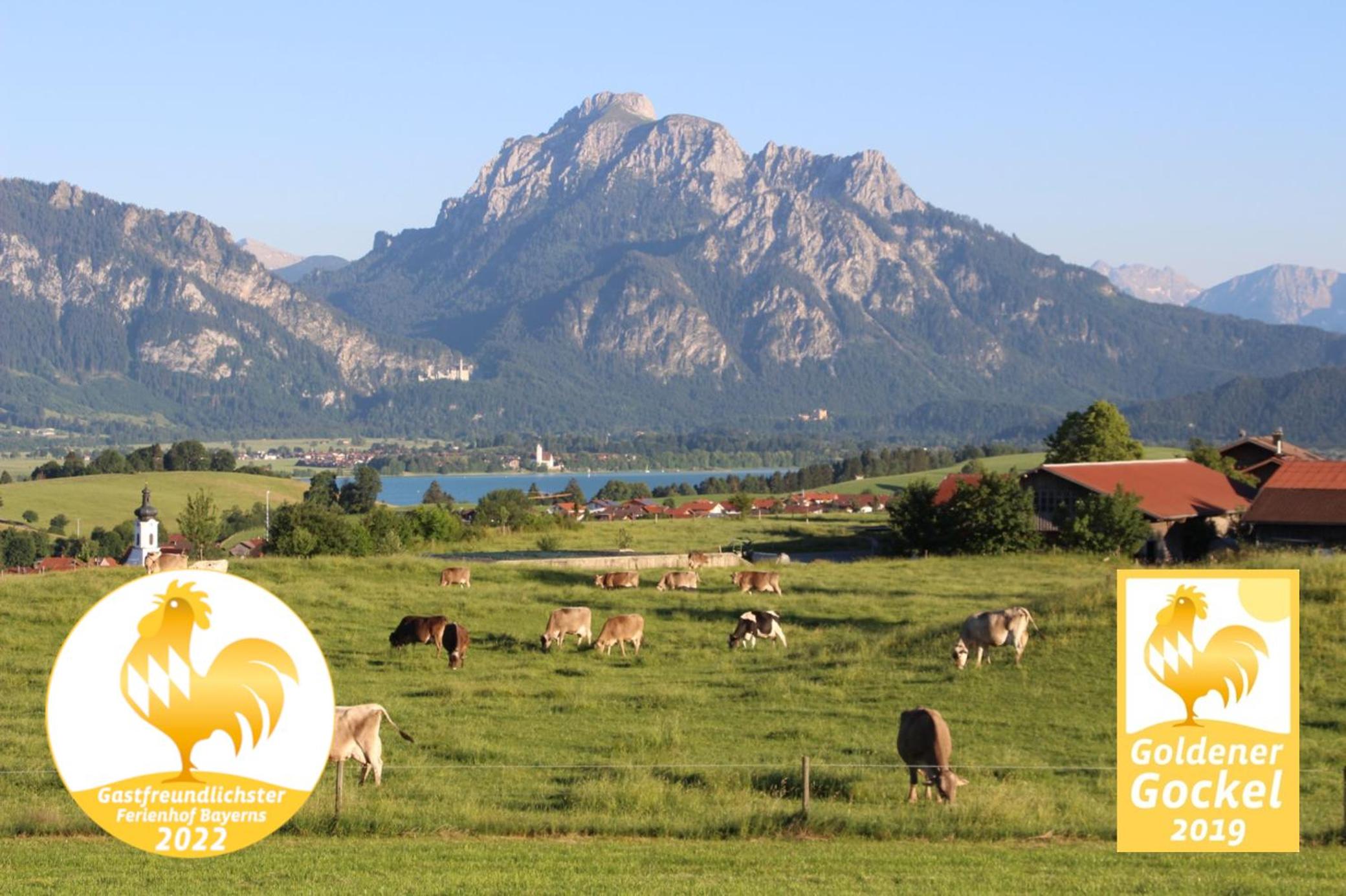 Biohof Stöger Adults Only Chalet mit Blick auf Schloss Neuschwanstein See und Alpen nur 2 Einheiten