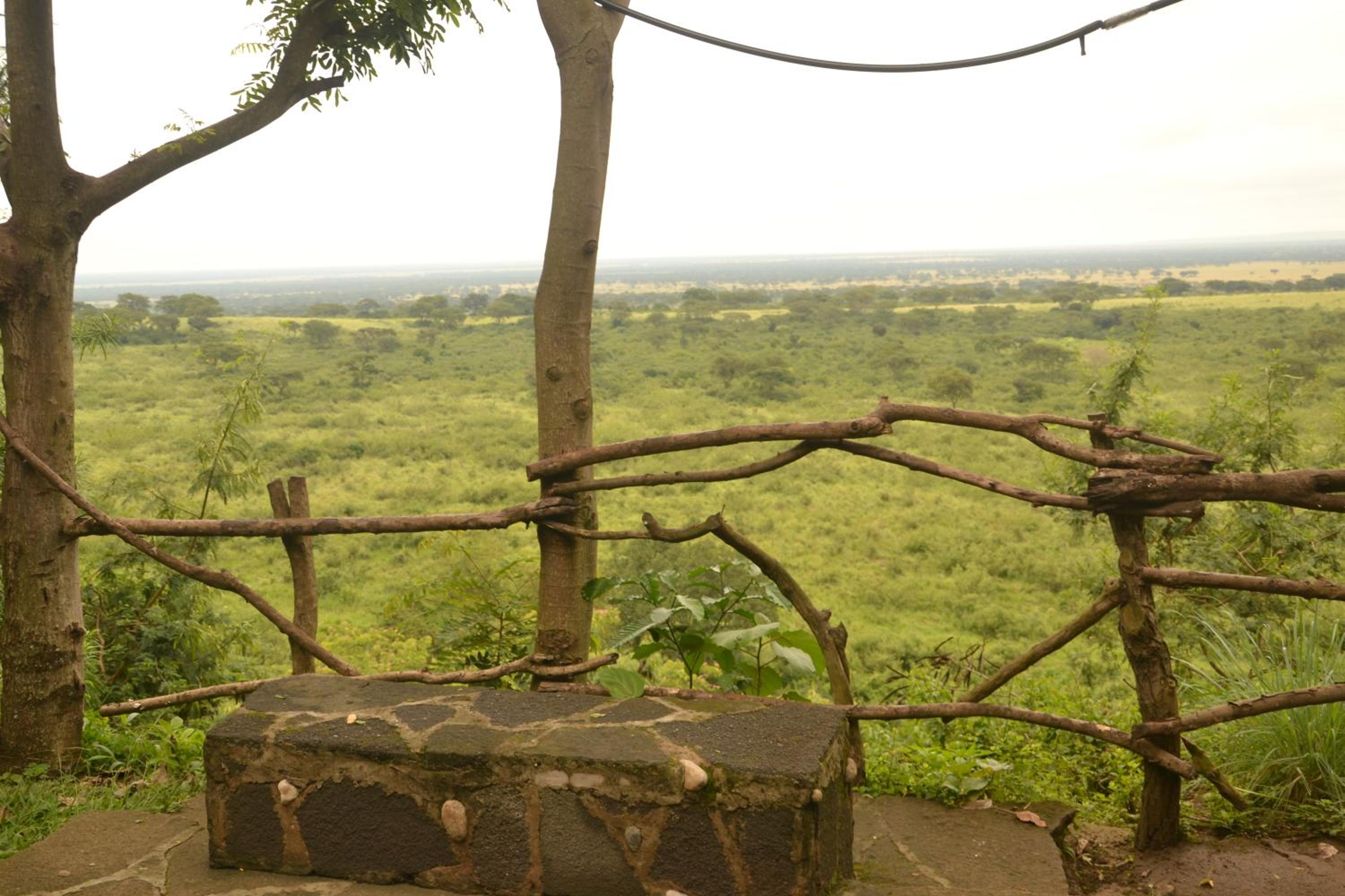 Pumba Safari Cottages