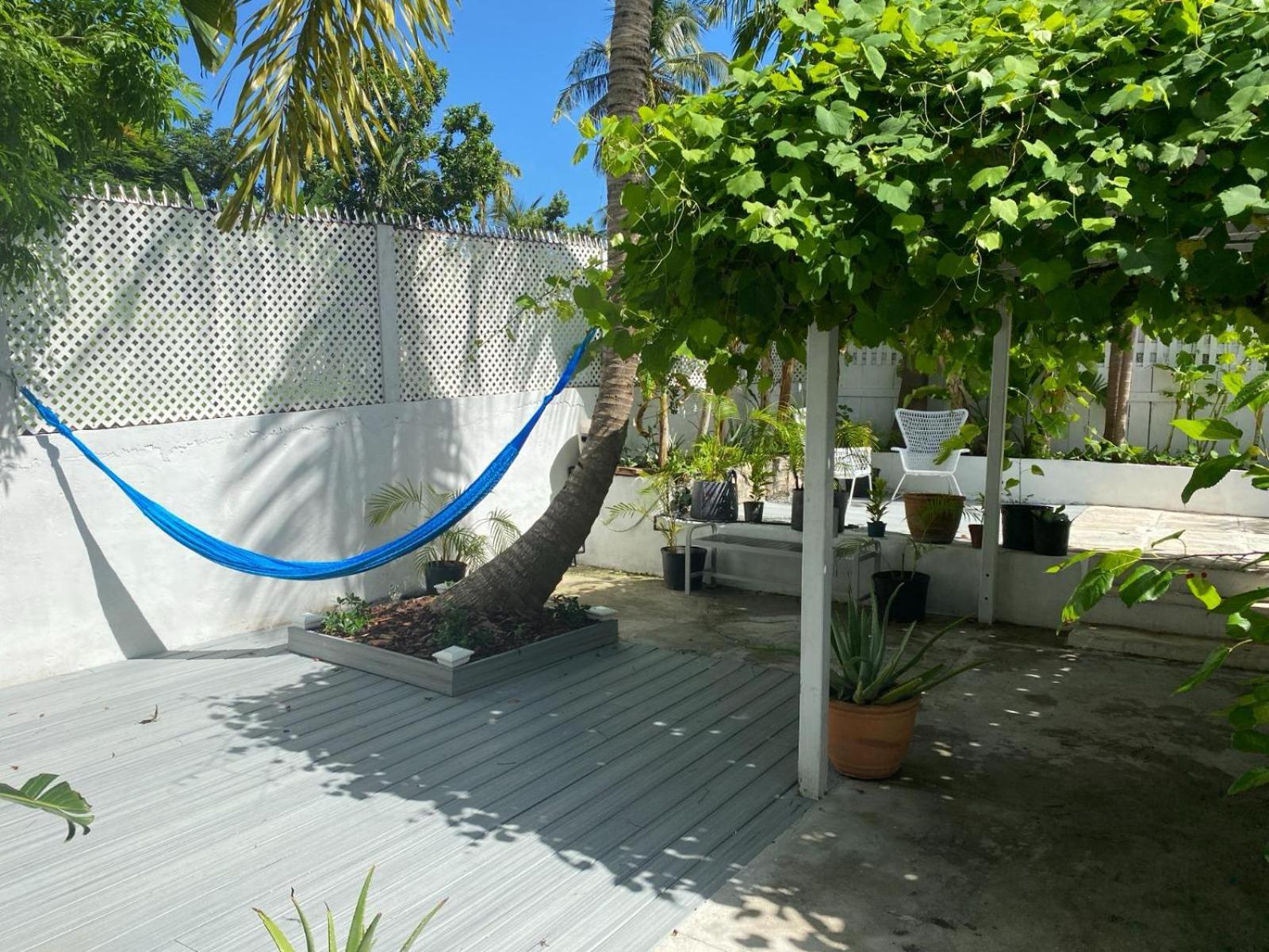 Downtown Nassau Oasis Unit 2