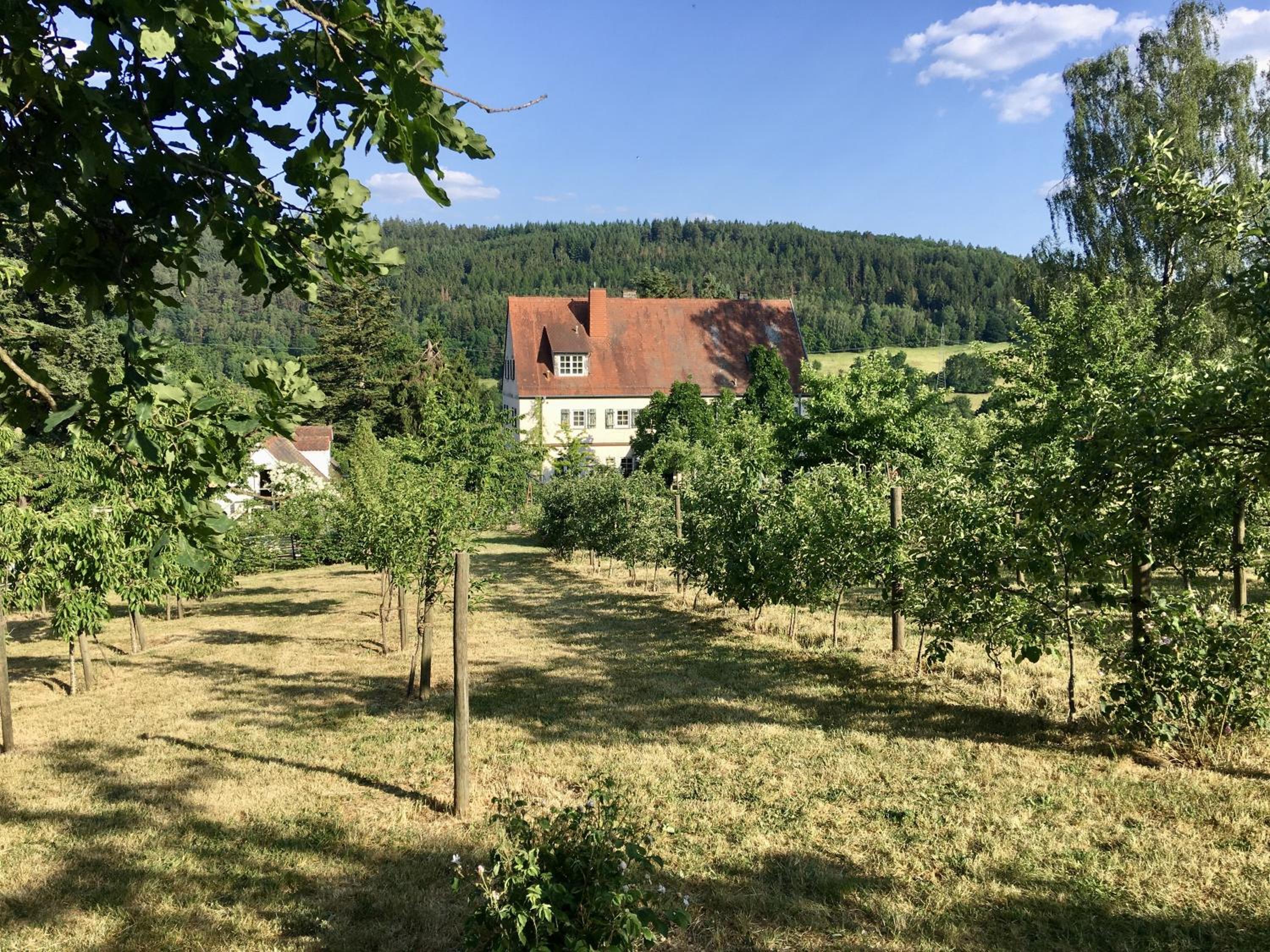 Gastehaus Altes Forstamt Sinntal - Property Image 3