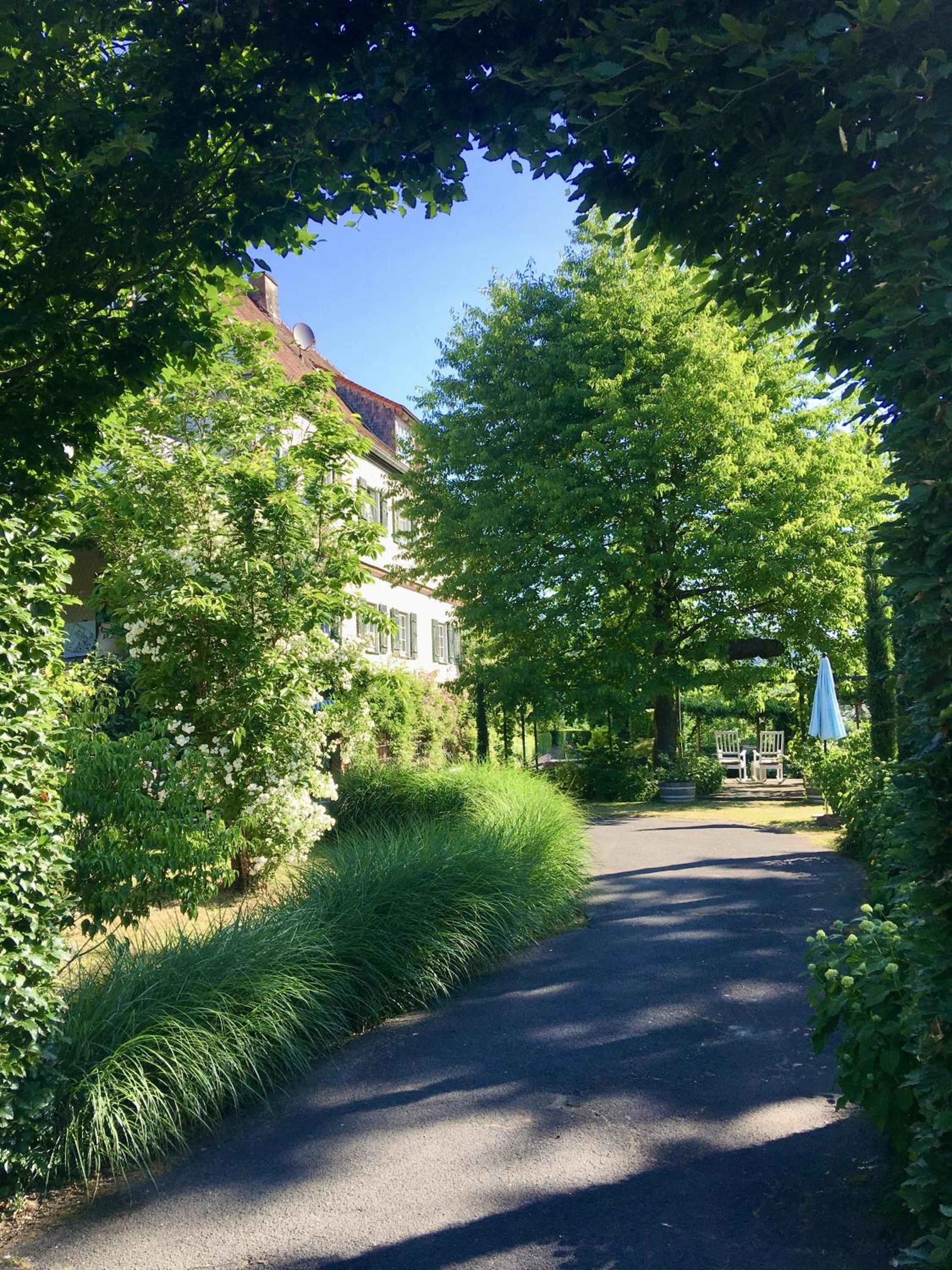 Gastehaus Altes Forstamt Sinntal - Property Image 13