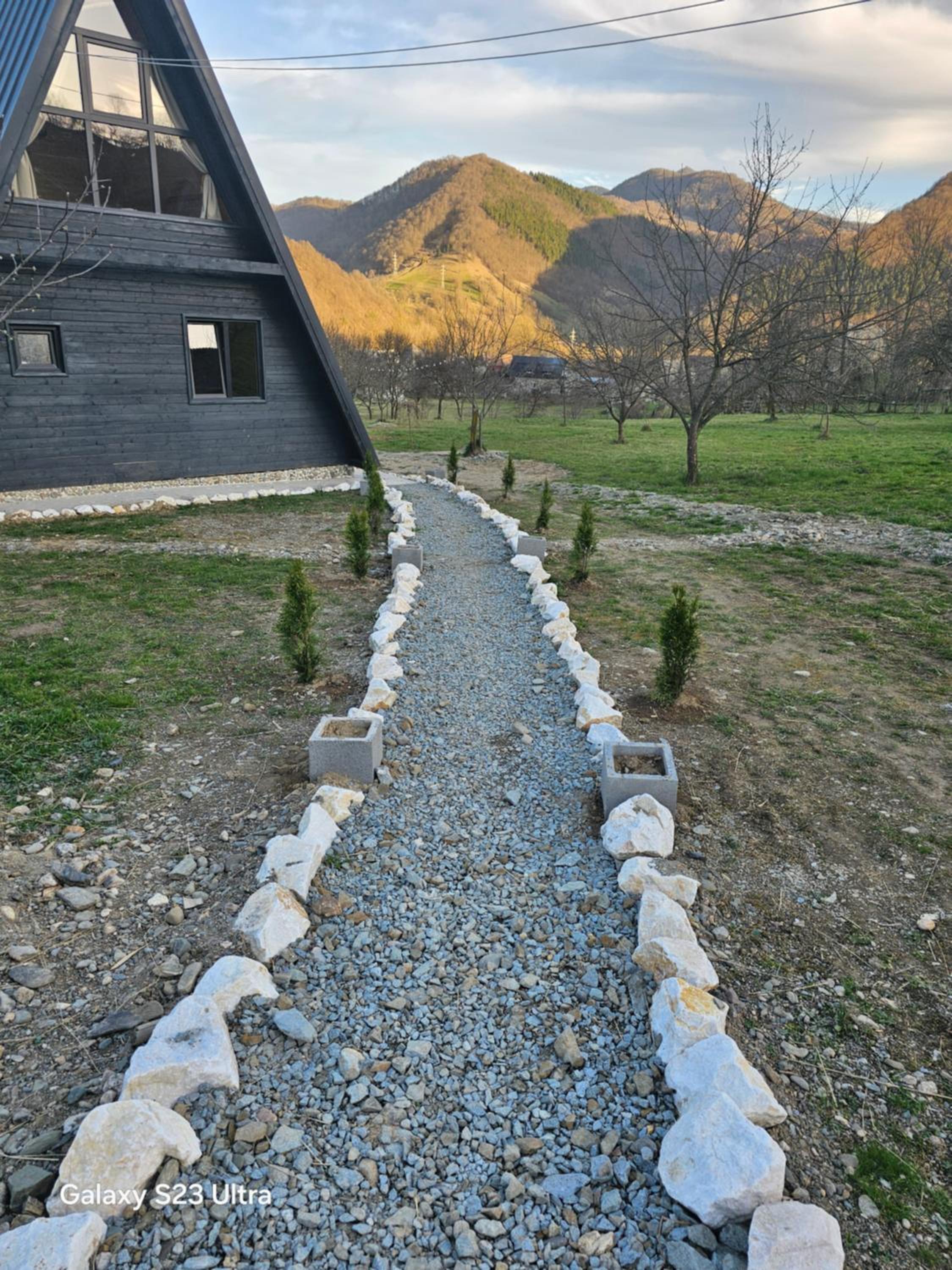 Cabana Apuseni Forest