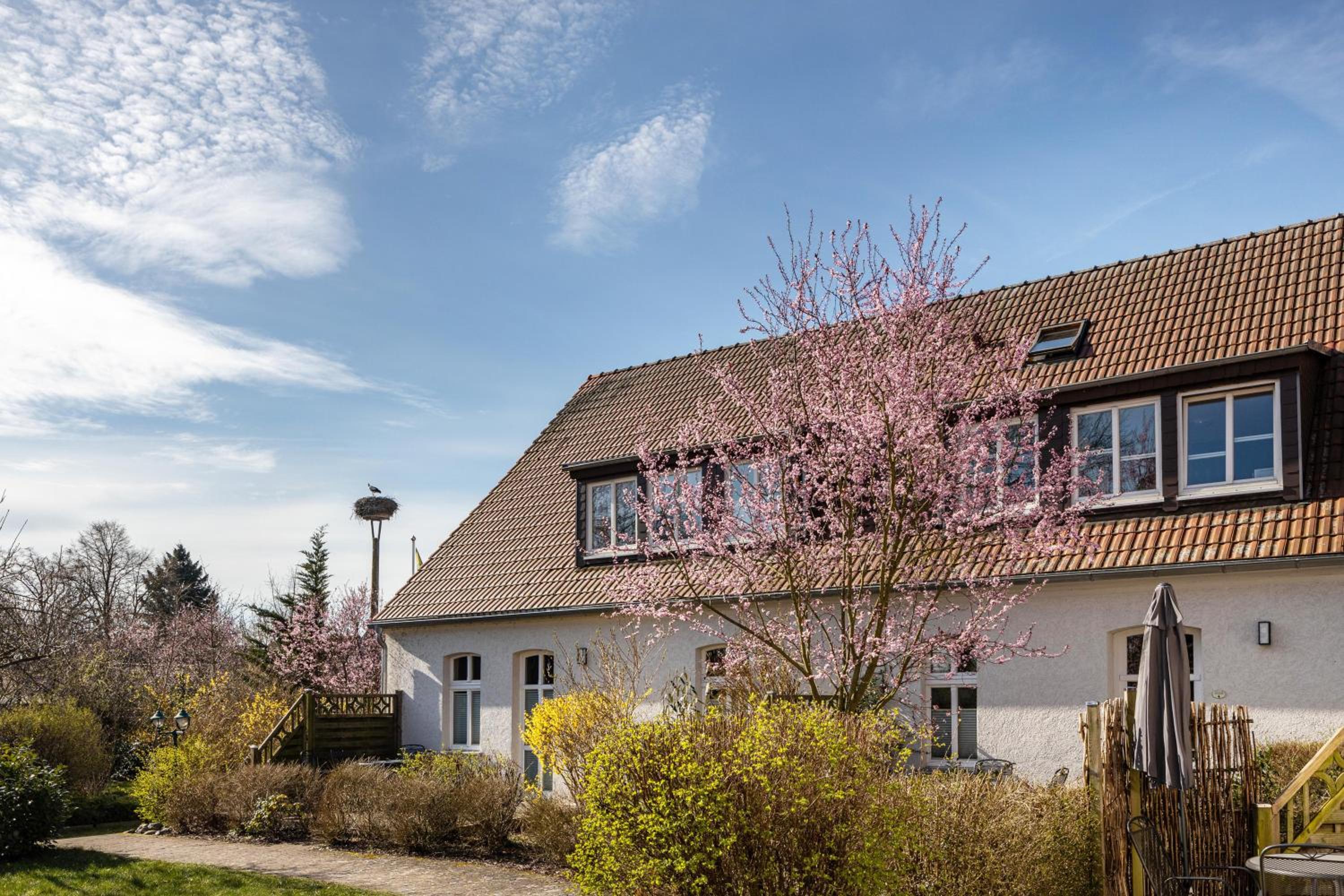 Kranichhorst 7