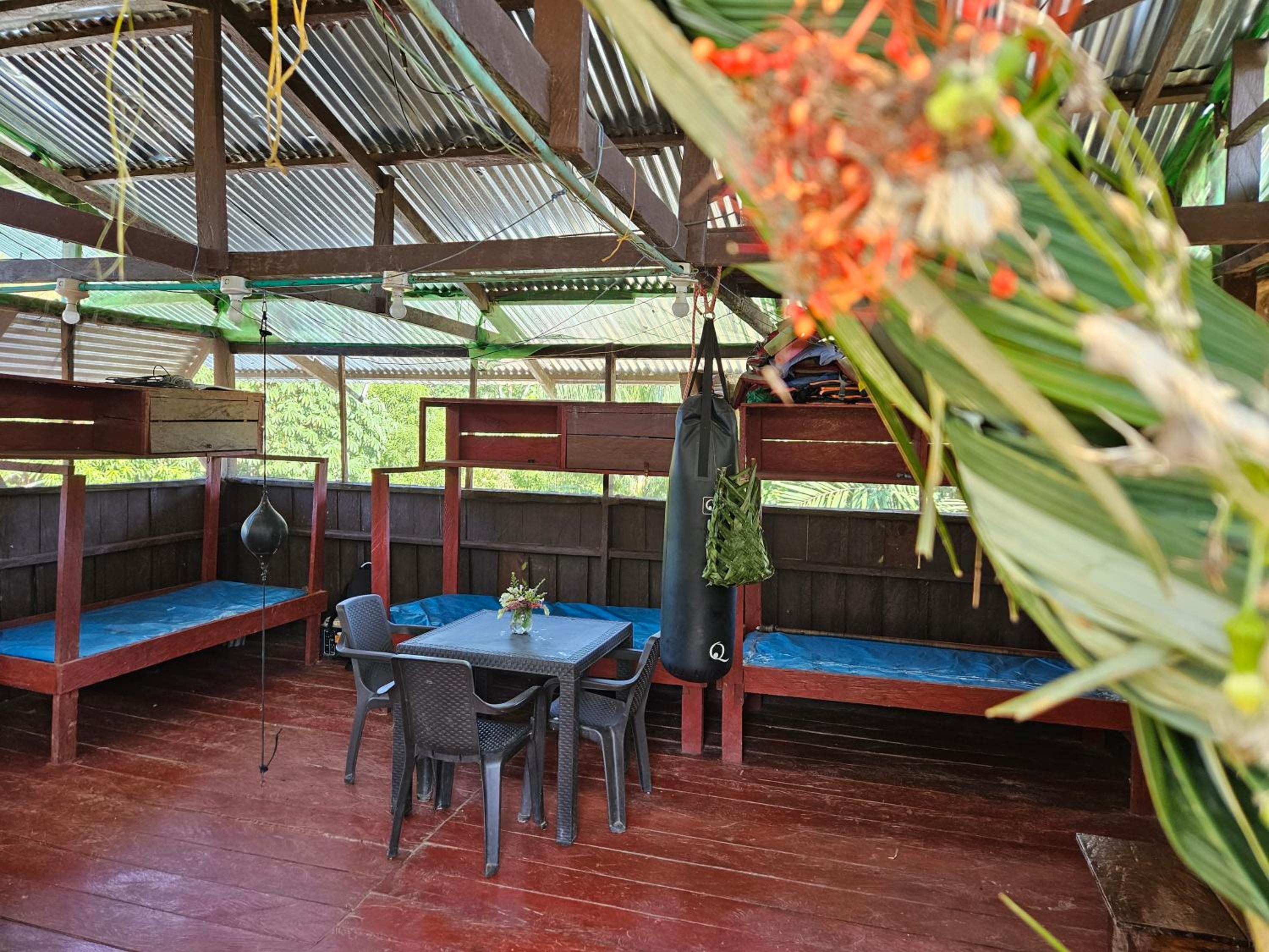 Amazon Jungle lodge -Experencia Indigena Yagua
