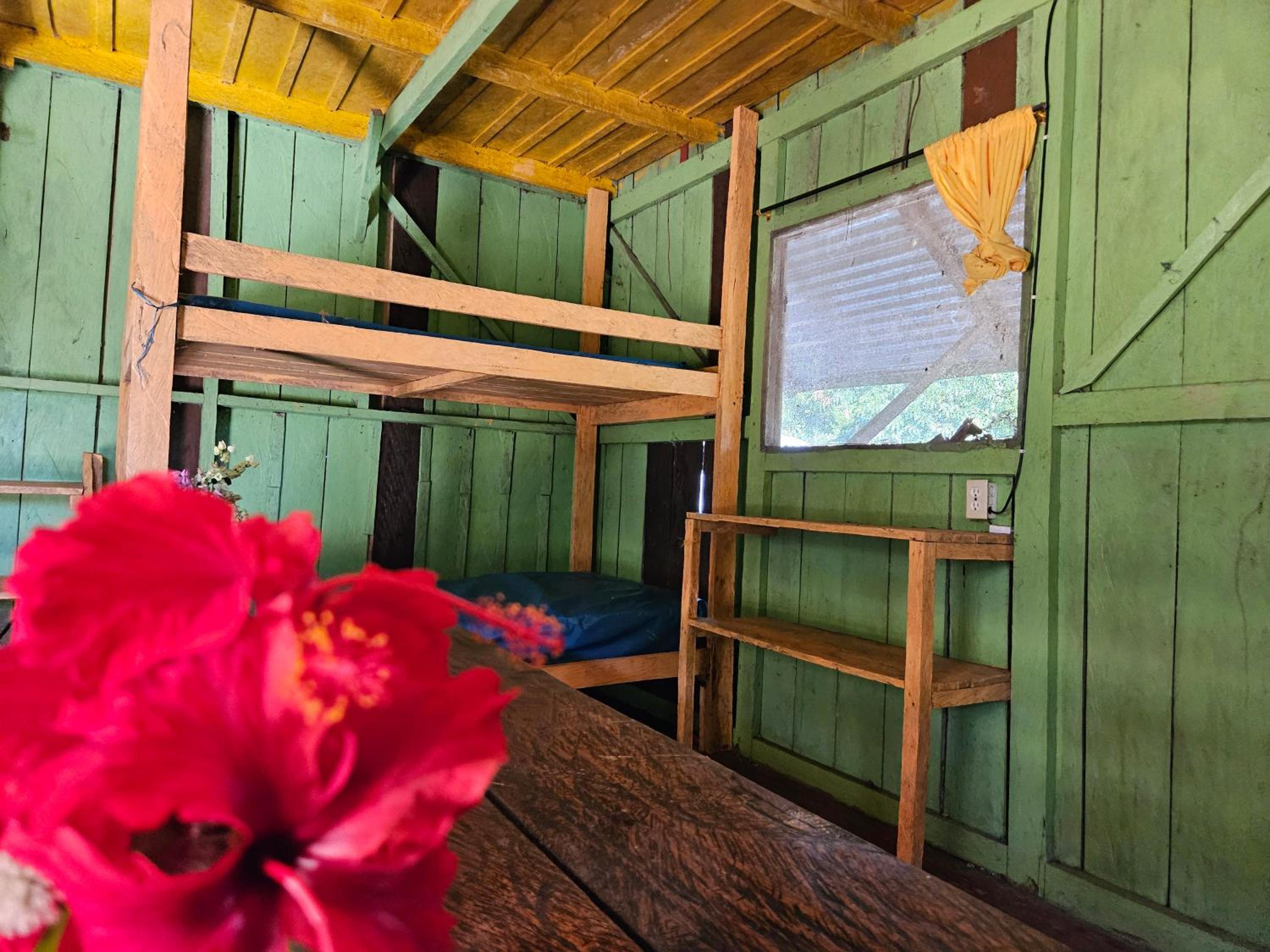 Amazon Jungle lodge -Experencia Indigena Yagua