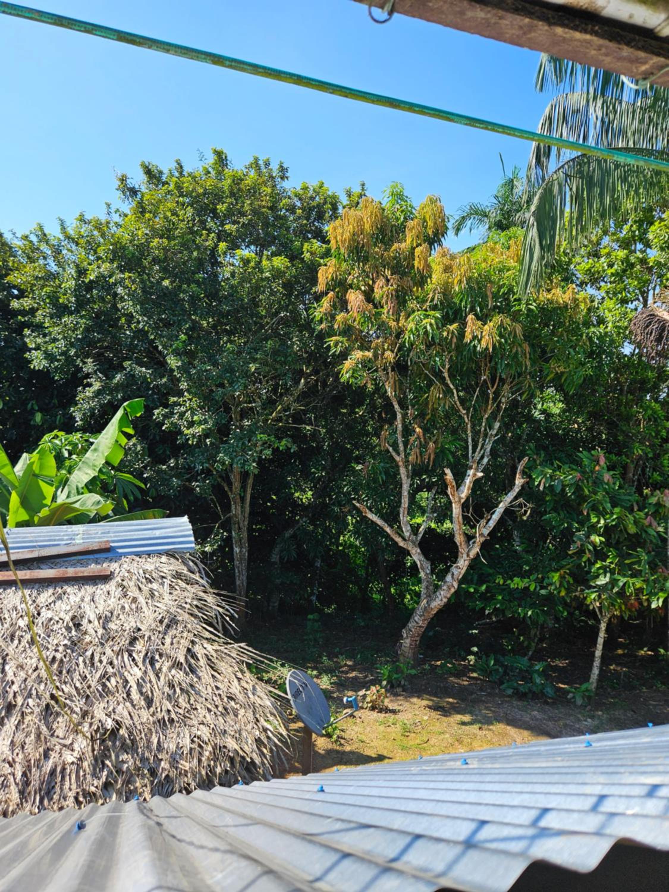 Amazon Jungle lodge -Experencia Indigena Yagua