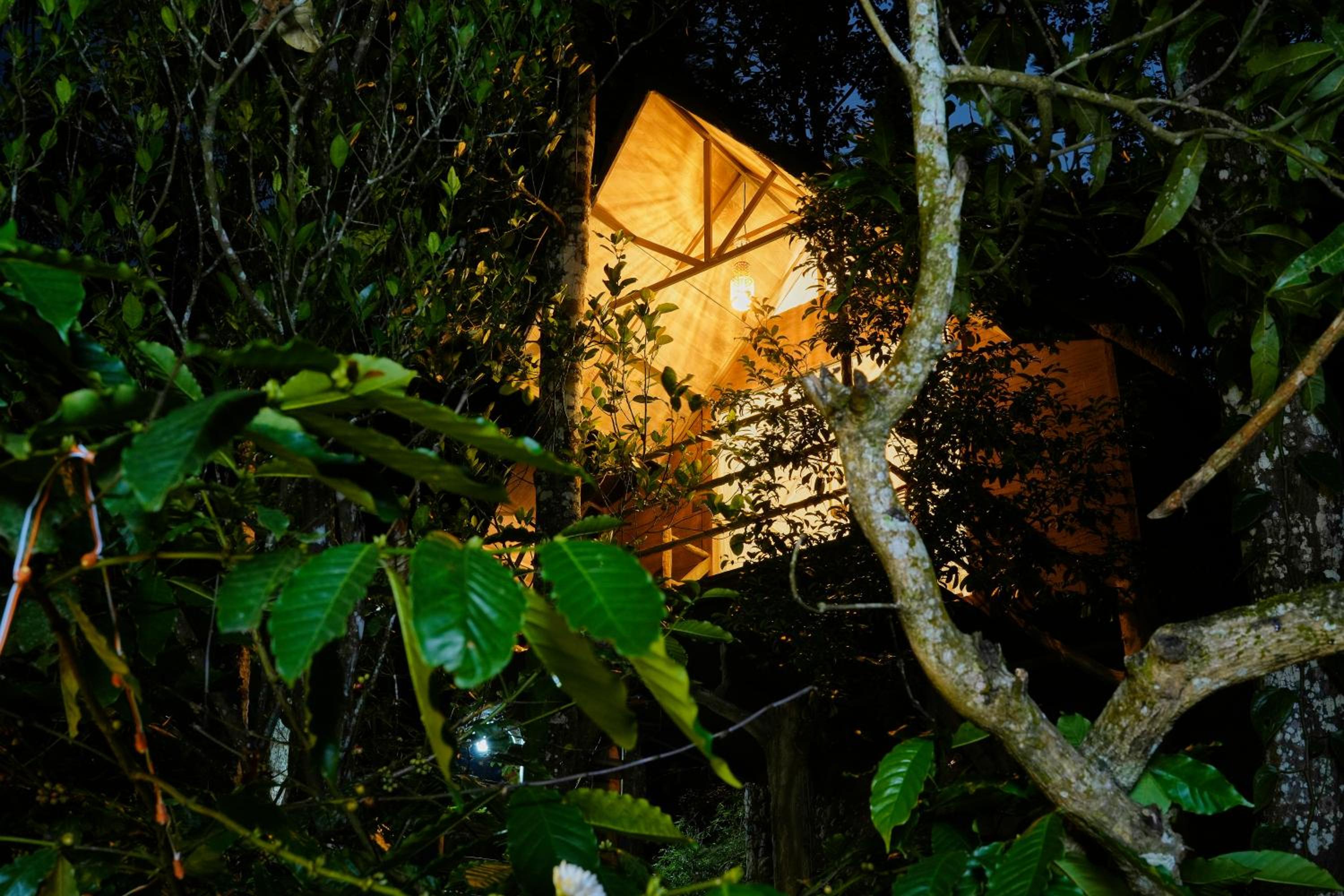 PANCHAVADI FARM STAY