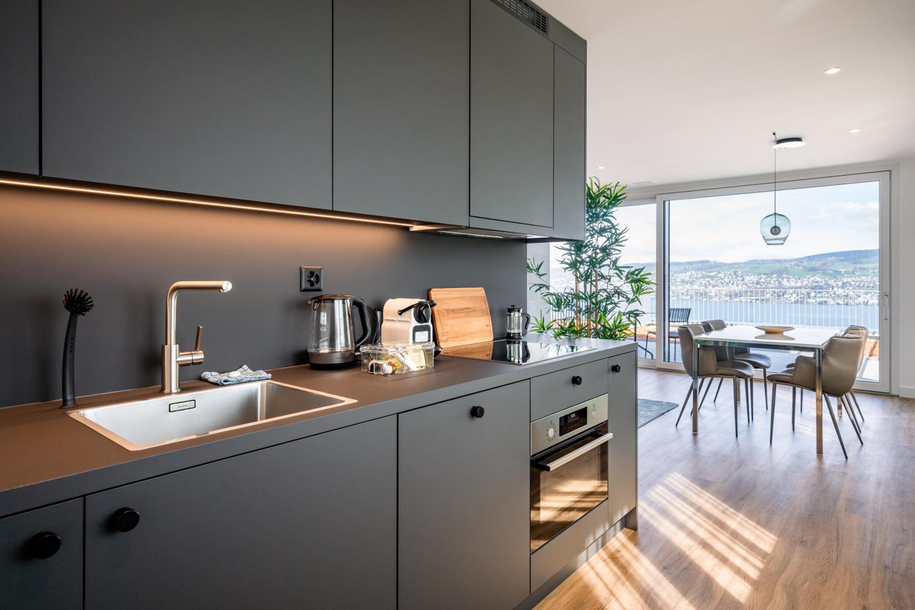 Belmont Residences lakeview in Horgen Zürich Zug Pfäffikon