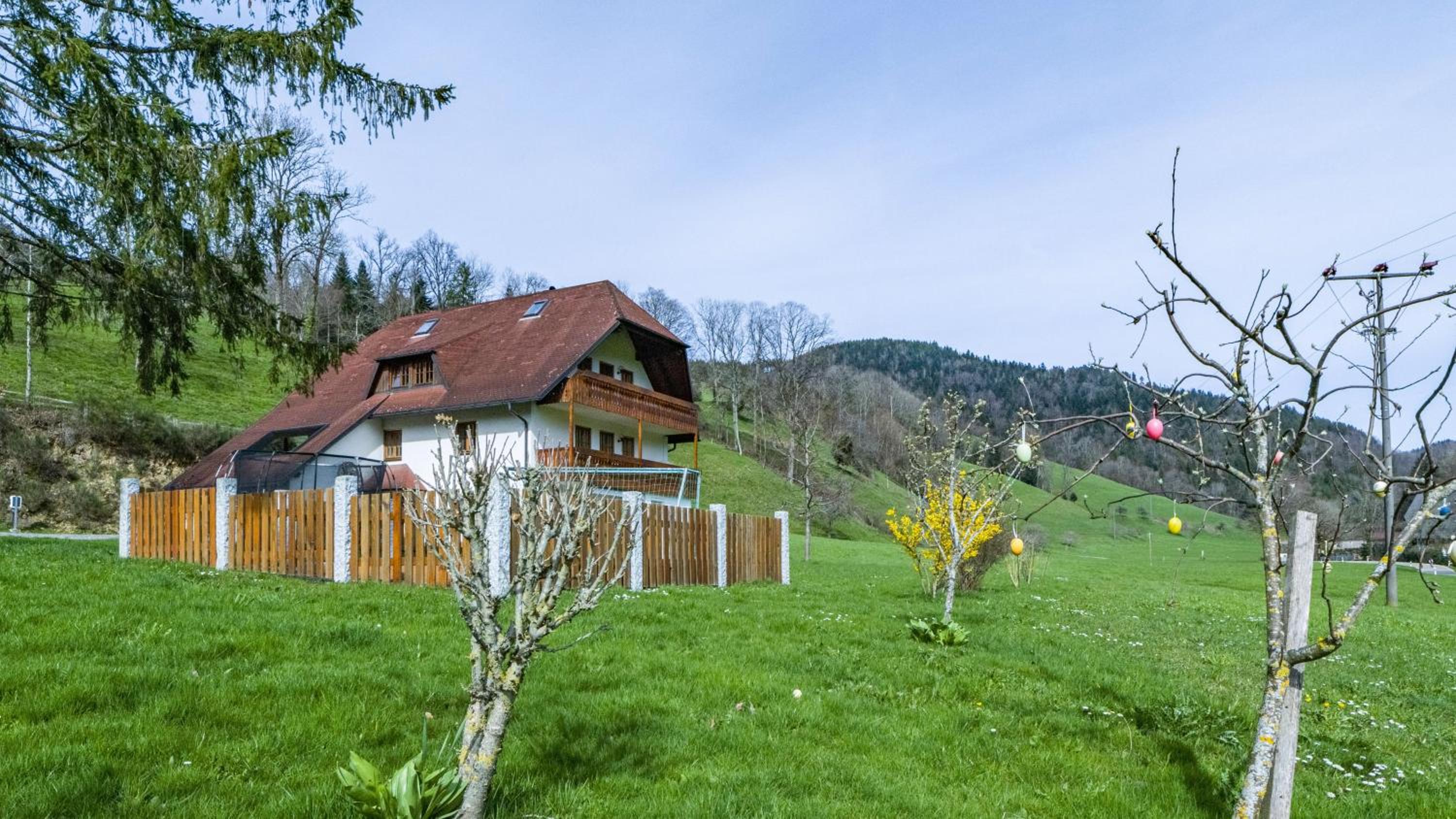 Schlegelhansenhof