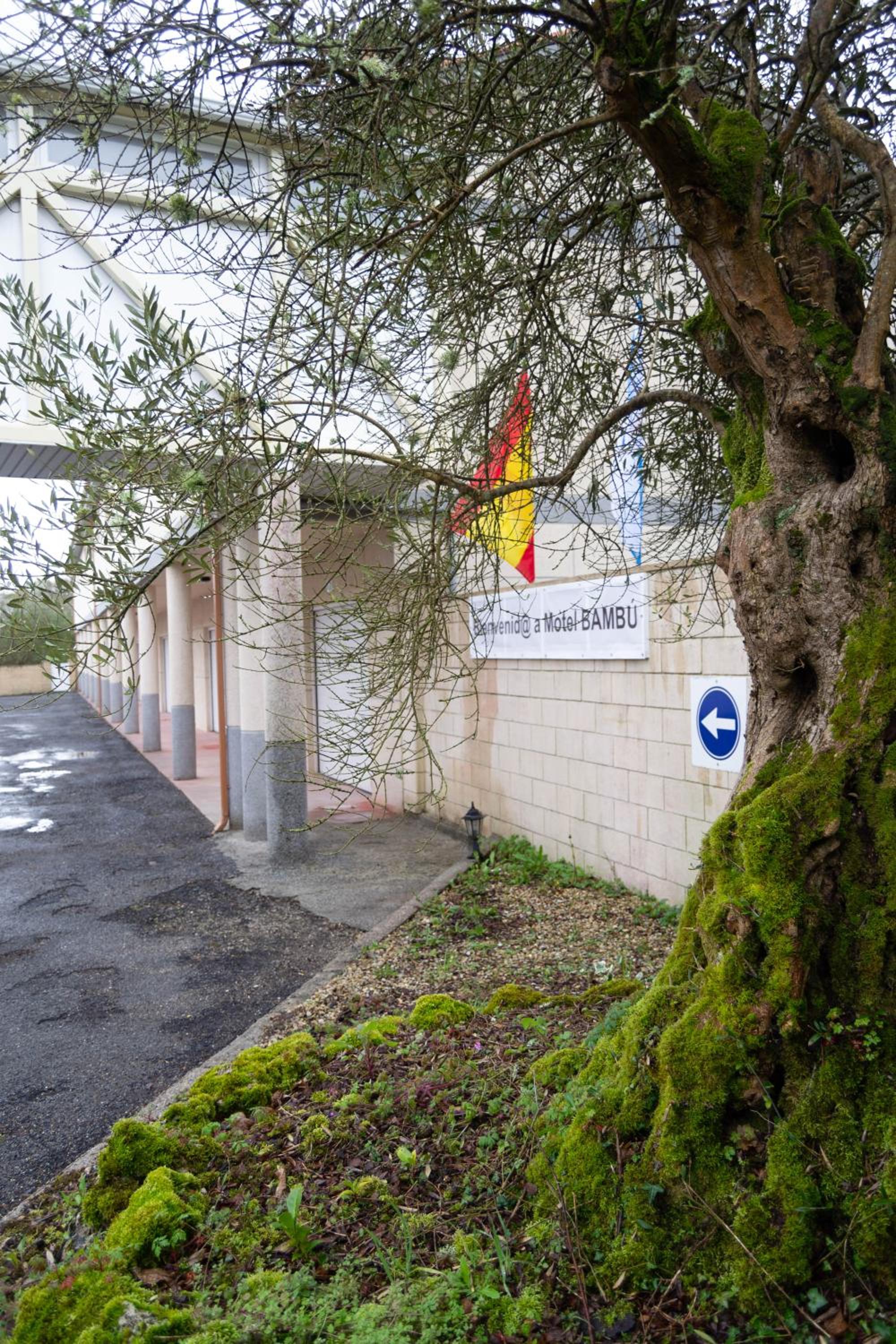 Motel Bambú
