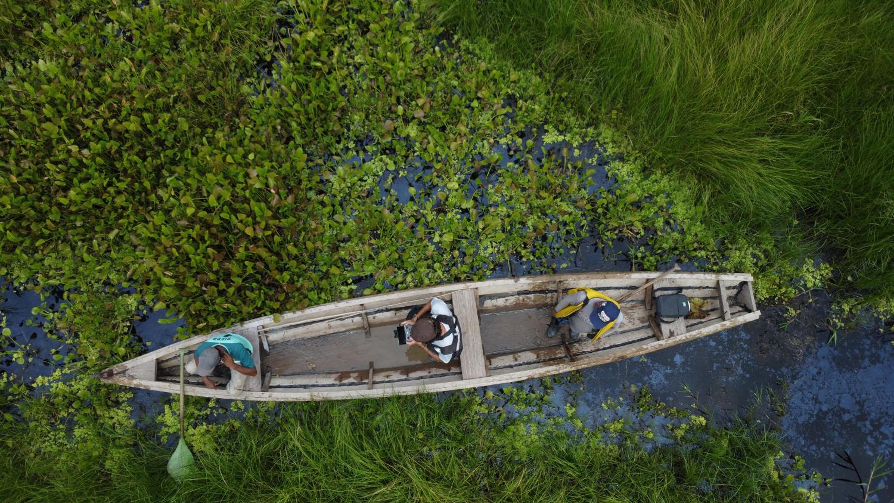 Amazon Jungle lodge -Experencia Indigena Yagua