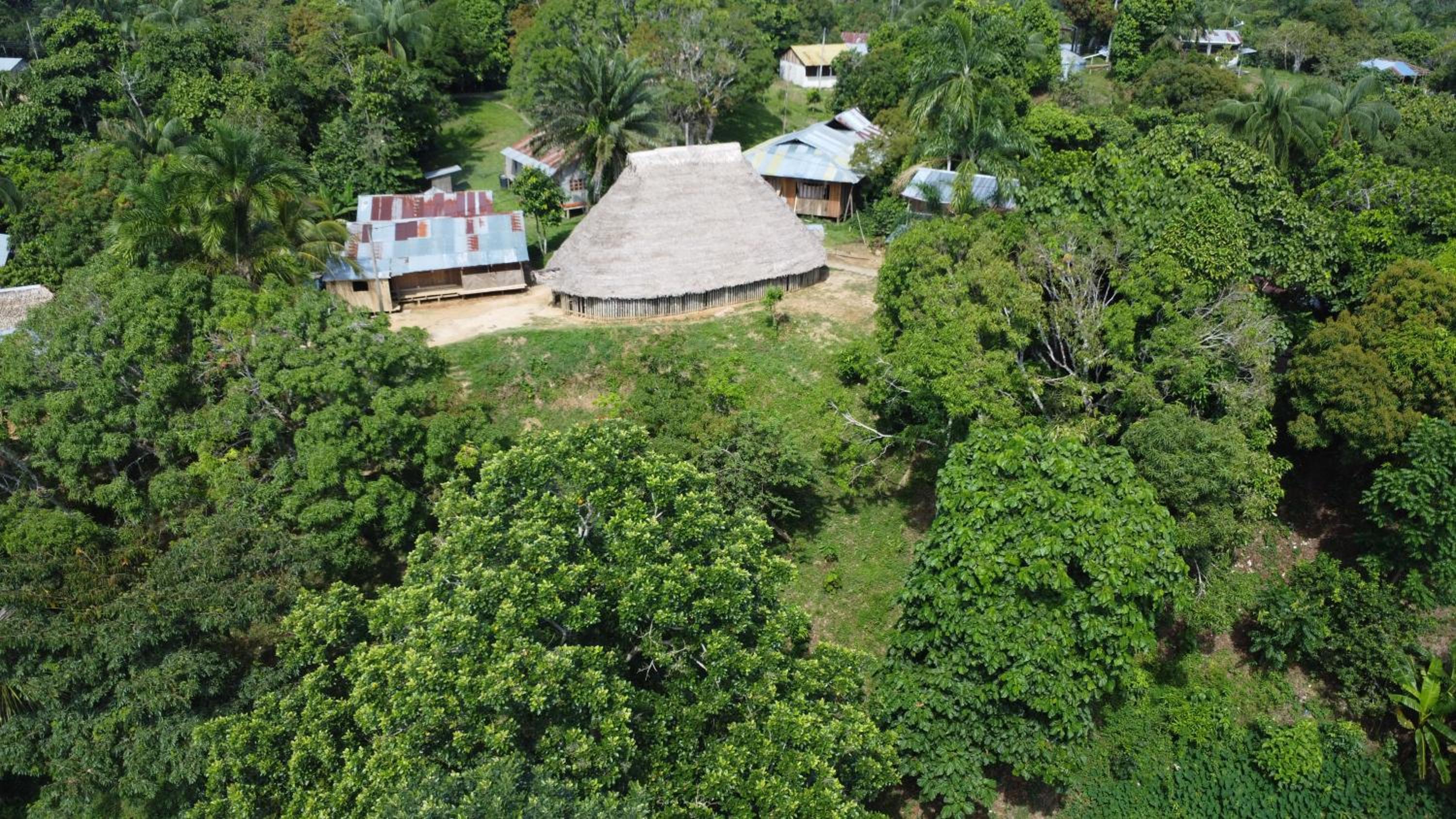 Amazon Jungle lodge -Experencia Indigena Yagua