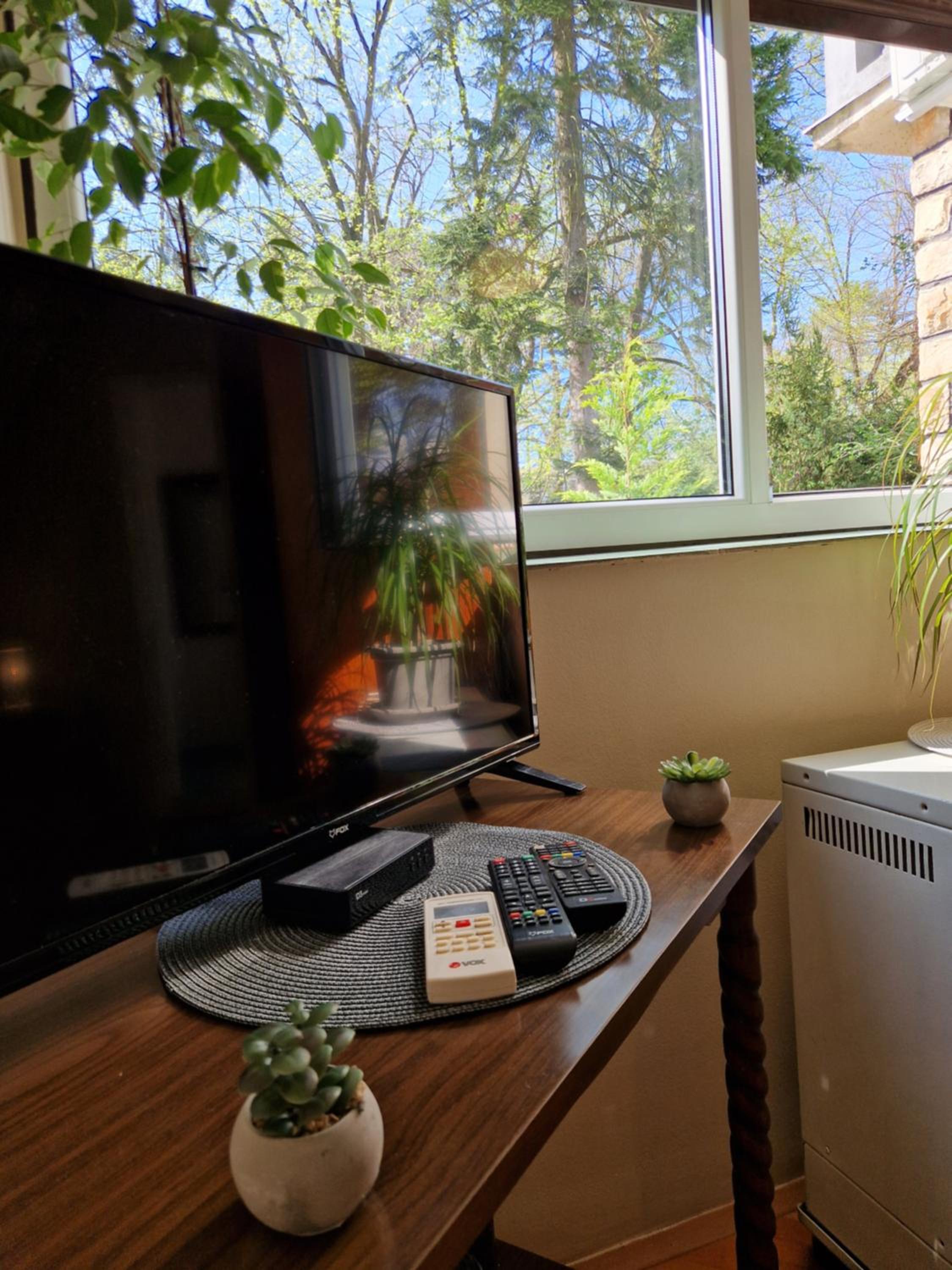 Apartman Merkur