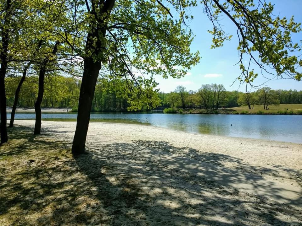 Photo 16