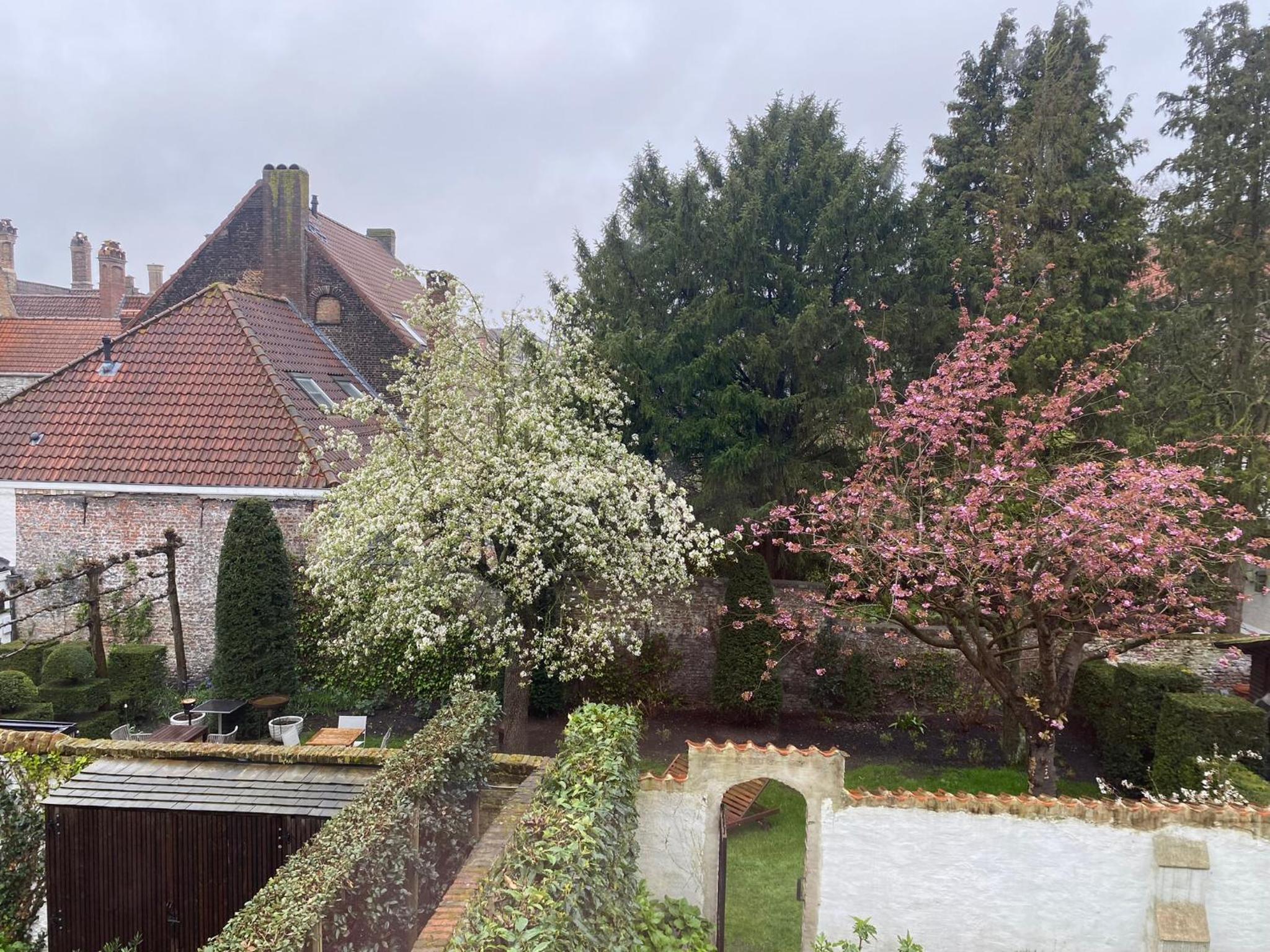 B&B Residence9Bruges