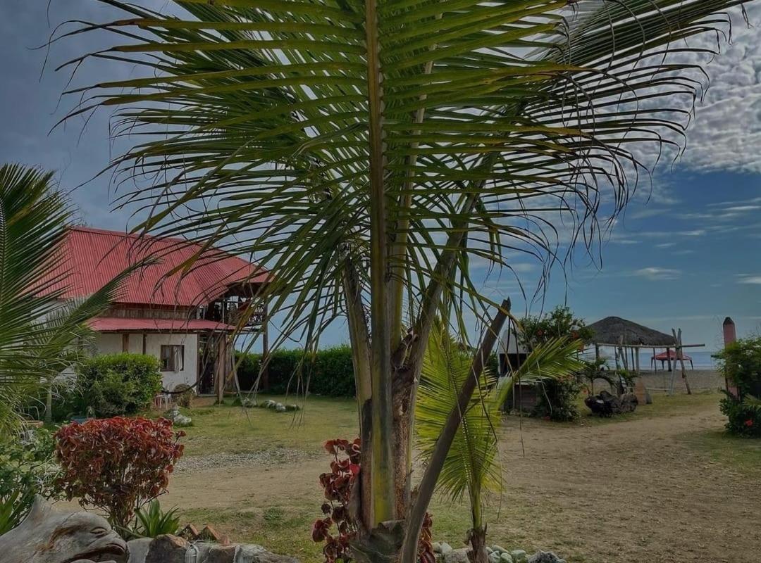 Hotel Palma Coco