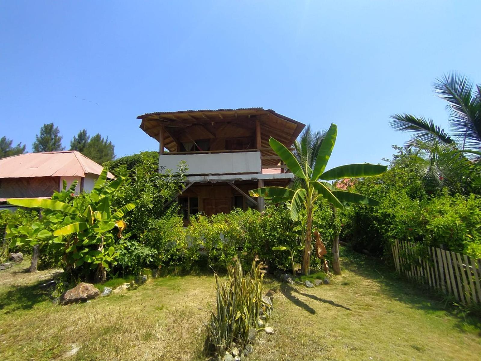 Hotel Palma Coco