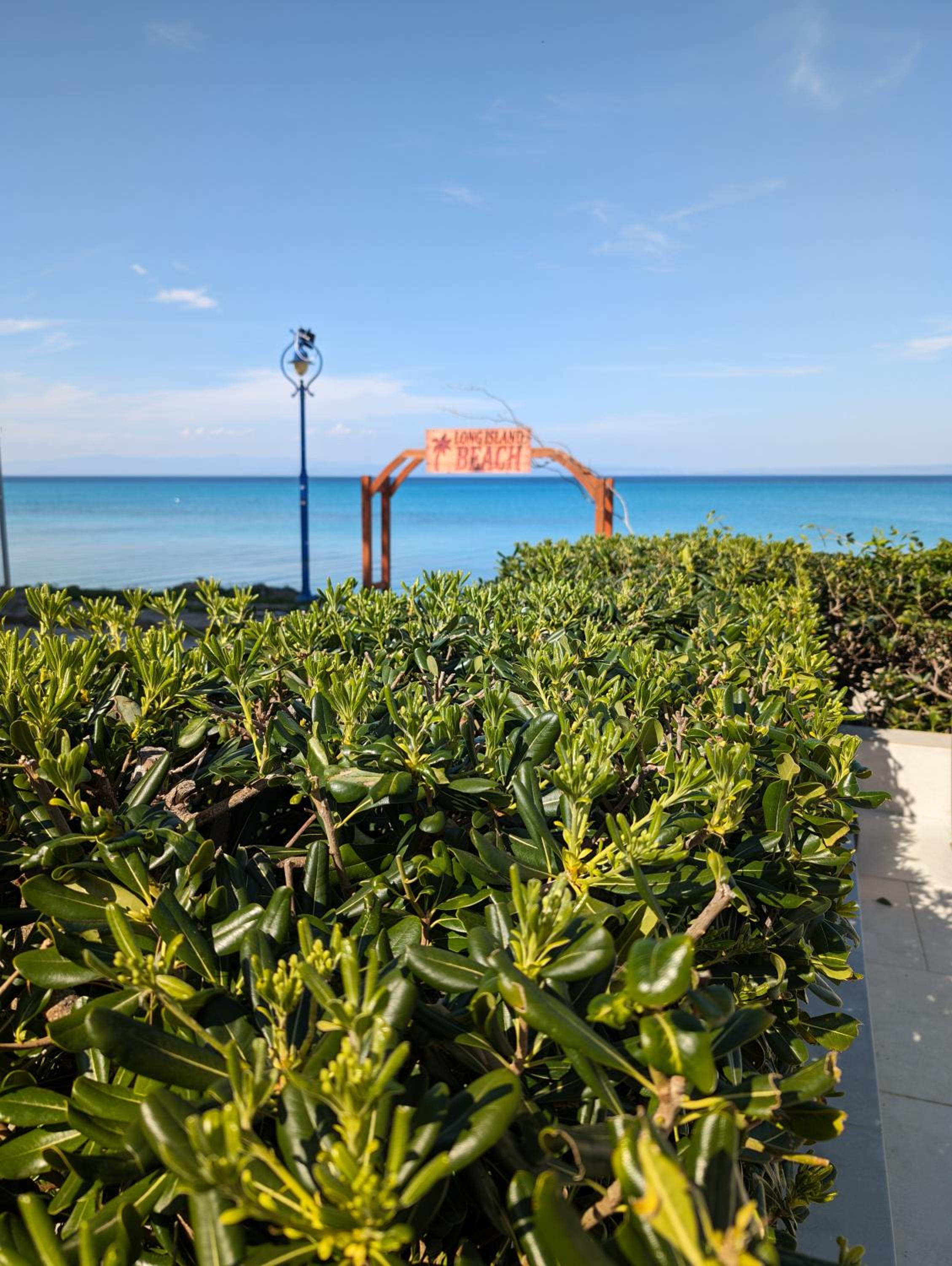 Photo 37