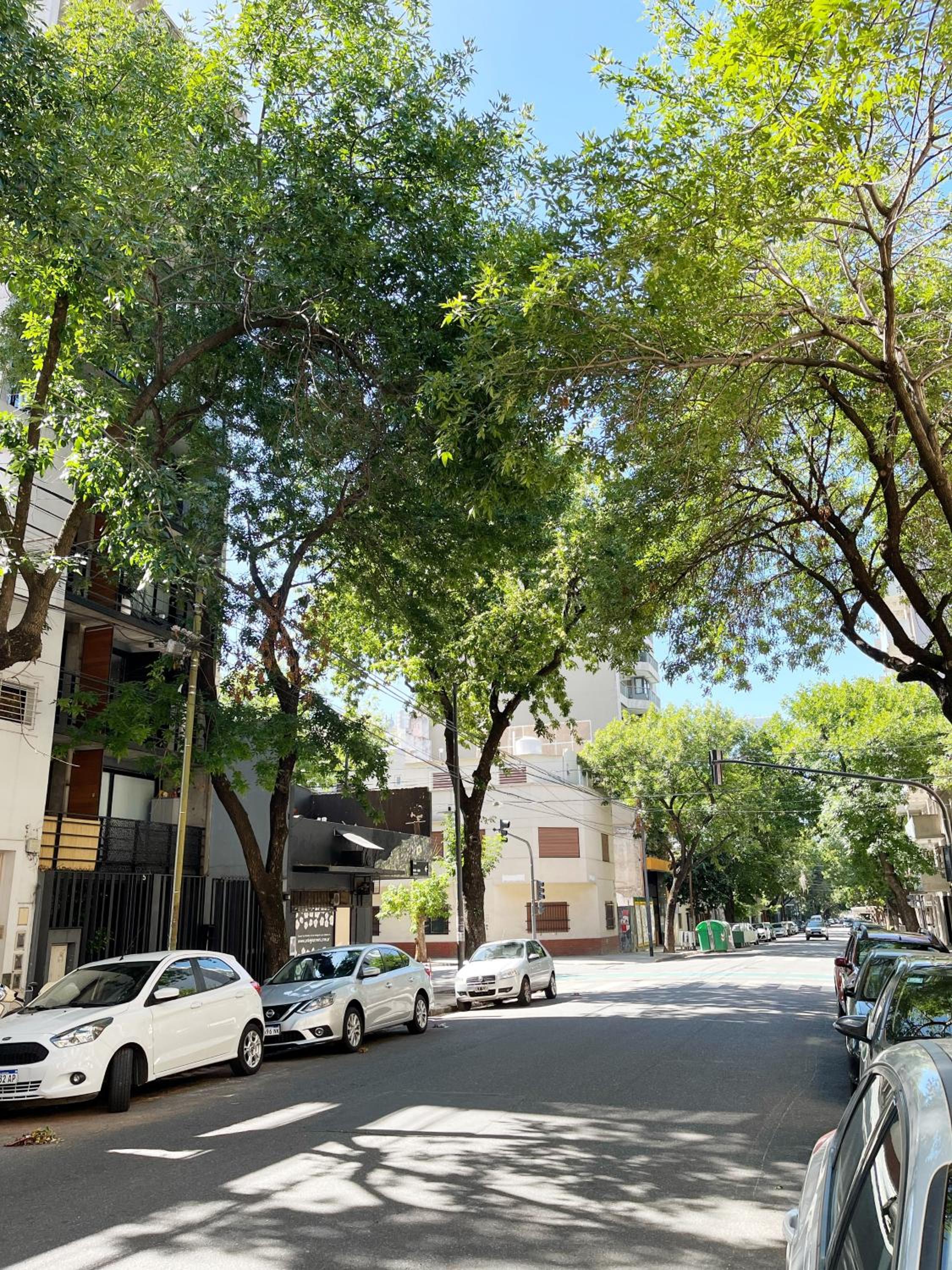 Mono Ambiente en Palermo Hollywood