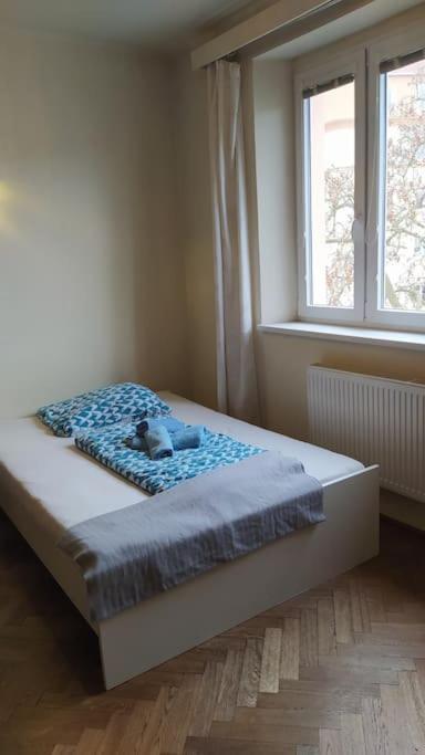 Spacious modern 3 bedroom aparment