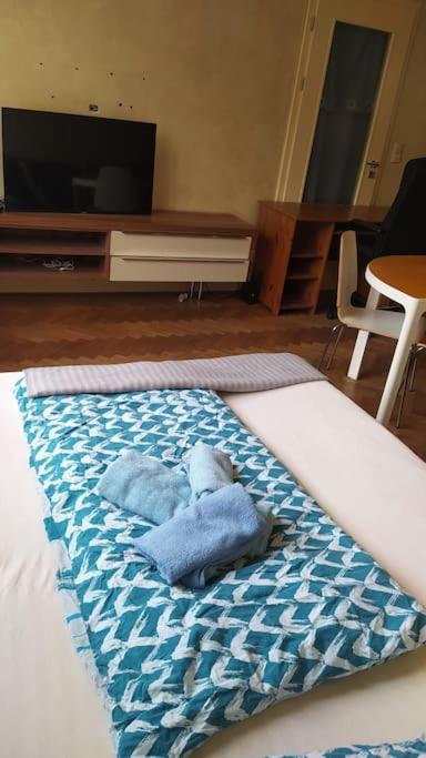 Spacious modern 3 bedroom aparment