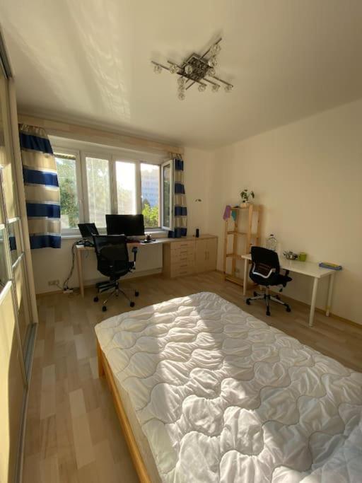 Spacious modern 3 bedroom aparment