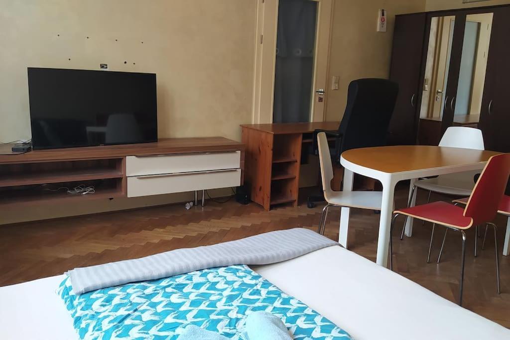 Spacious modern 3 bedroom aparment