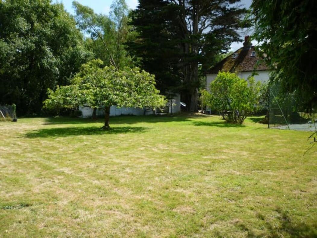 Photo 31