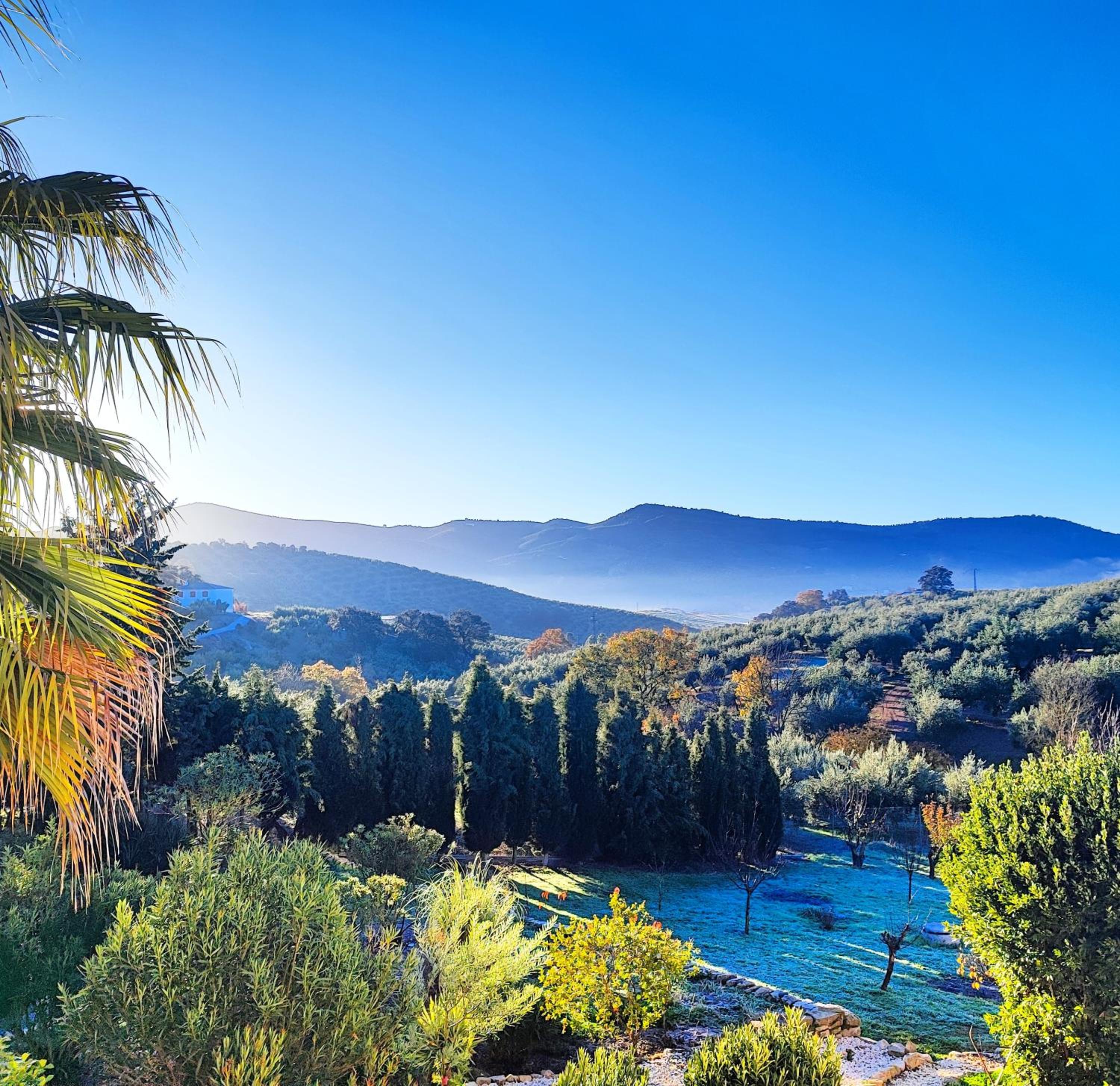 CORTIJO PENNYMARIA Poolside Apartment near Montefrio with stunning views