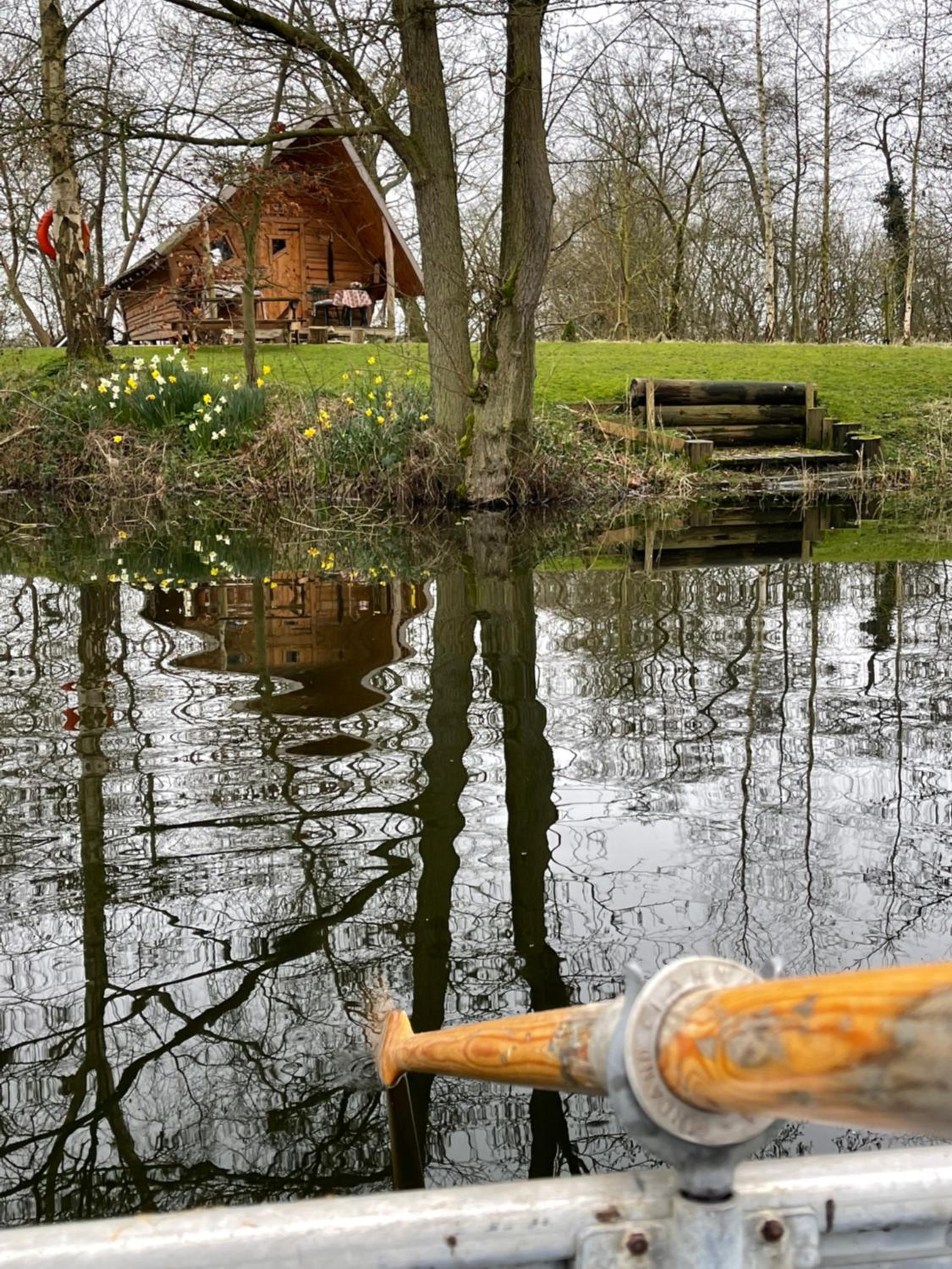 Photo 41