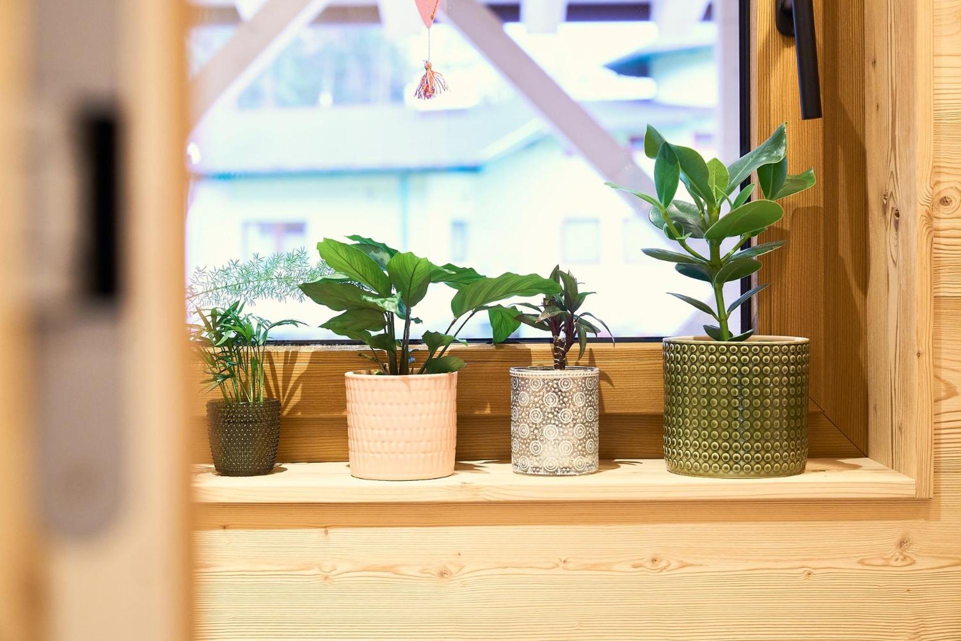 Das Habitat