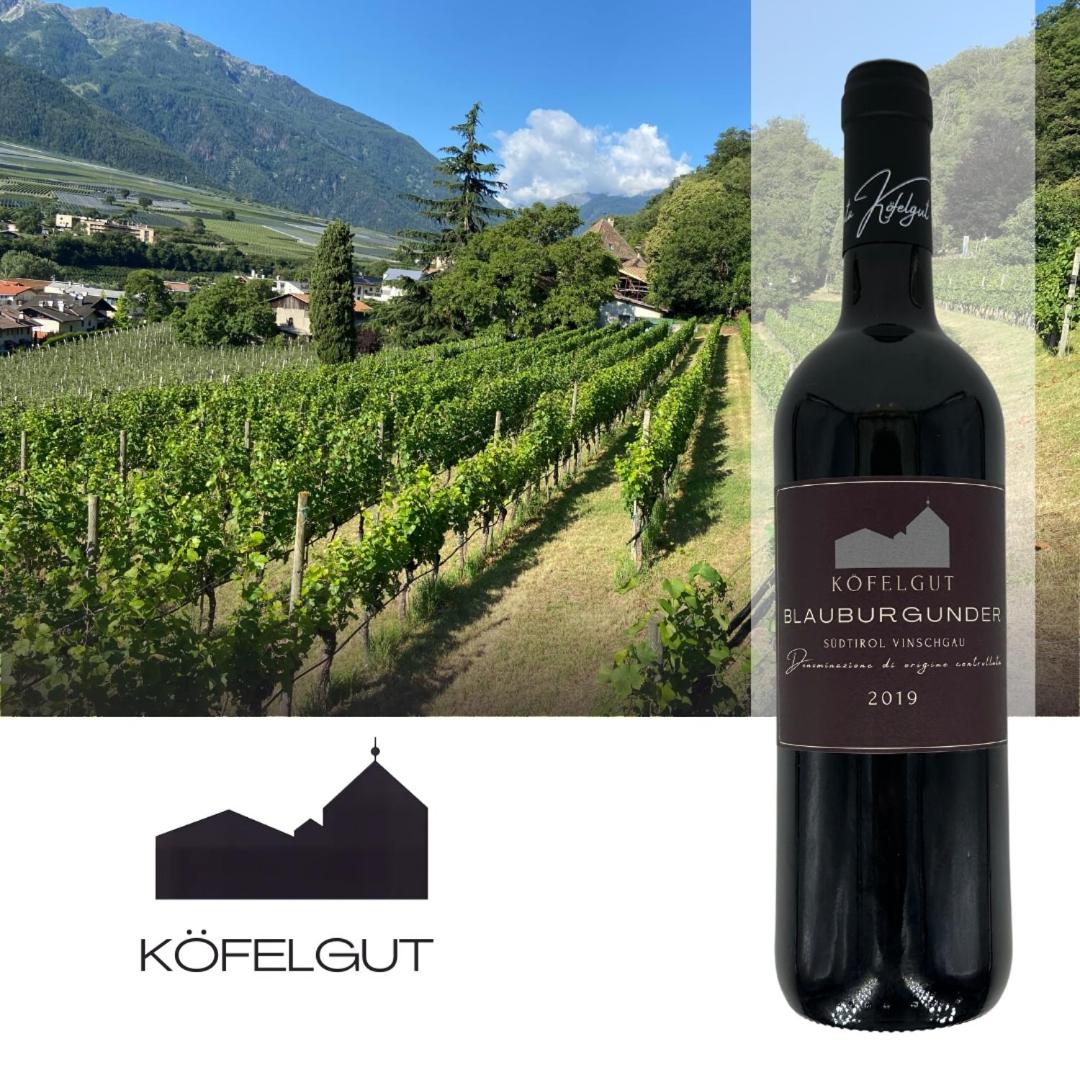 Weingut Köfelgut - Turris Vini view 3