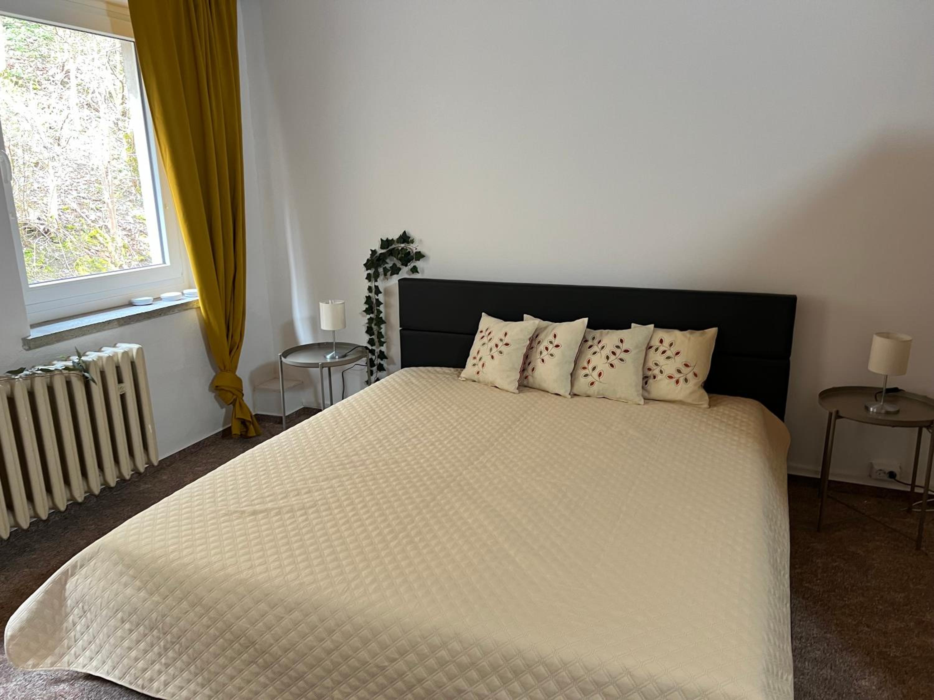 Pension Sternschnuppe, Treseburg Harz, unmittelbar am Wasser